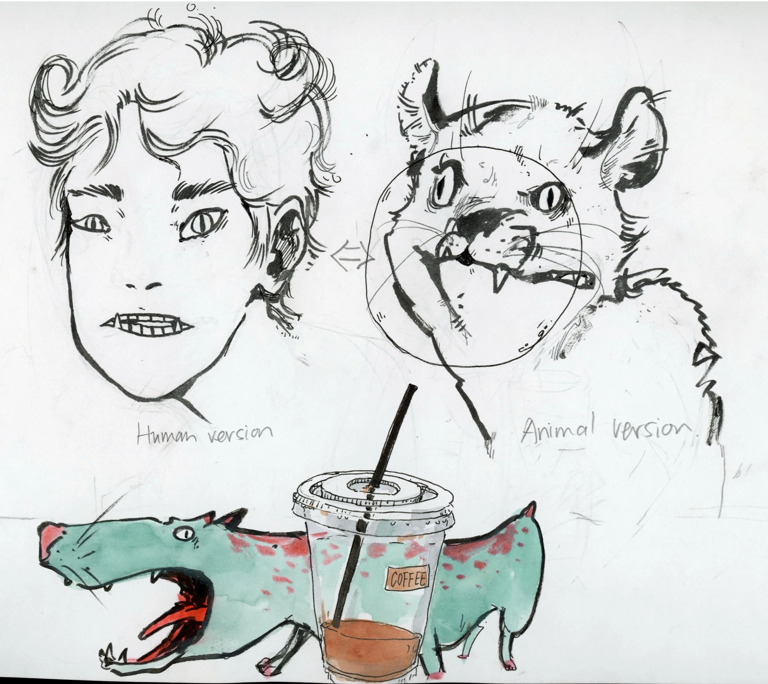 Sketch comparing a human face and a cat, labeled 'Human version' and 'Animal version'. The human face shows a person with short curly hair, and the cat has a detailed face with wide eyes and fur markings. There is a coffee cup between them, with the 