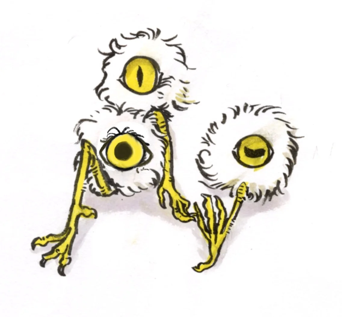 未命名作品 52_副本.jpg