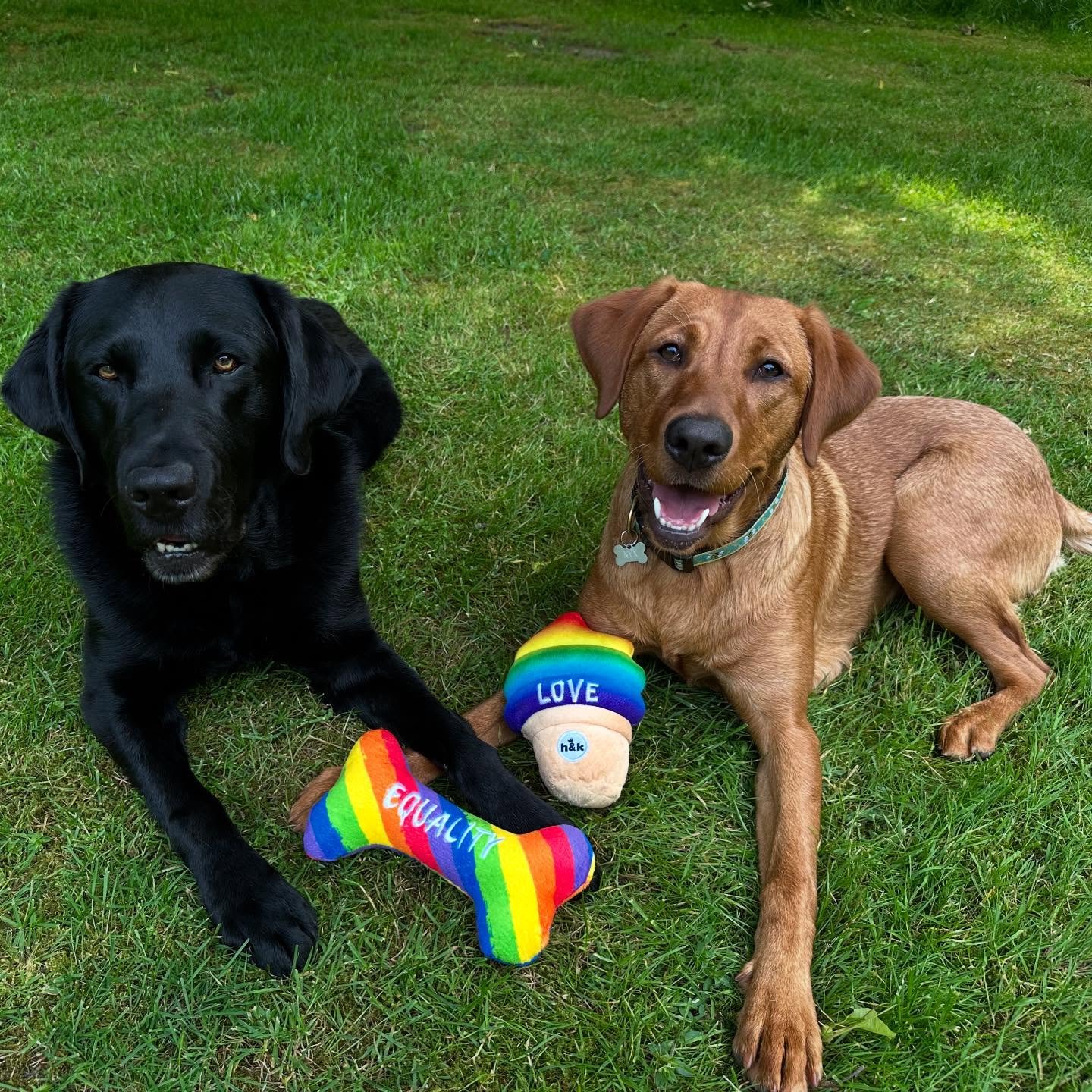Happy Pride, this month and every month!
