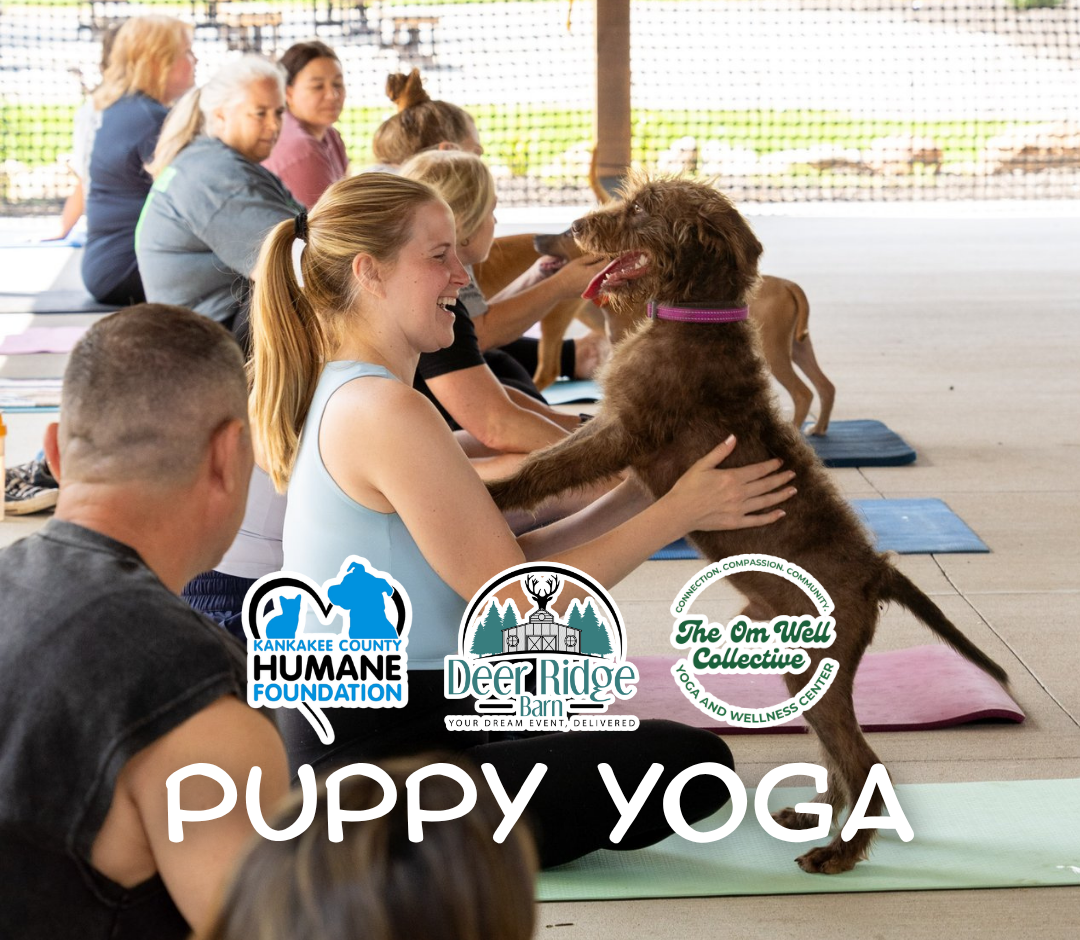 Puppy Yoga - Kankakee County Humane Foundation Fundraiser (Copy)