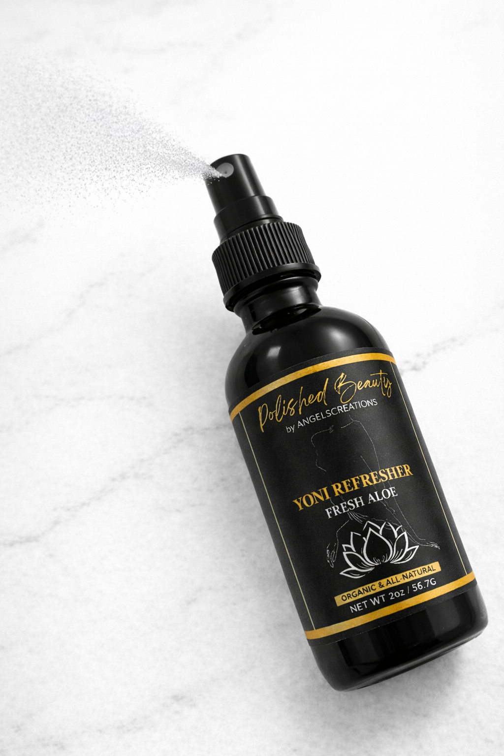 ChatGPT Image Feb 26, 2026, 12_13_29 PM.png