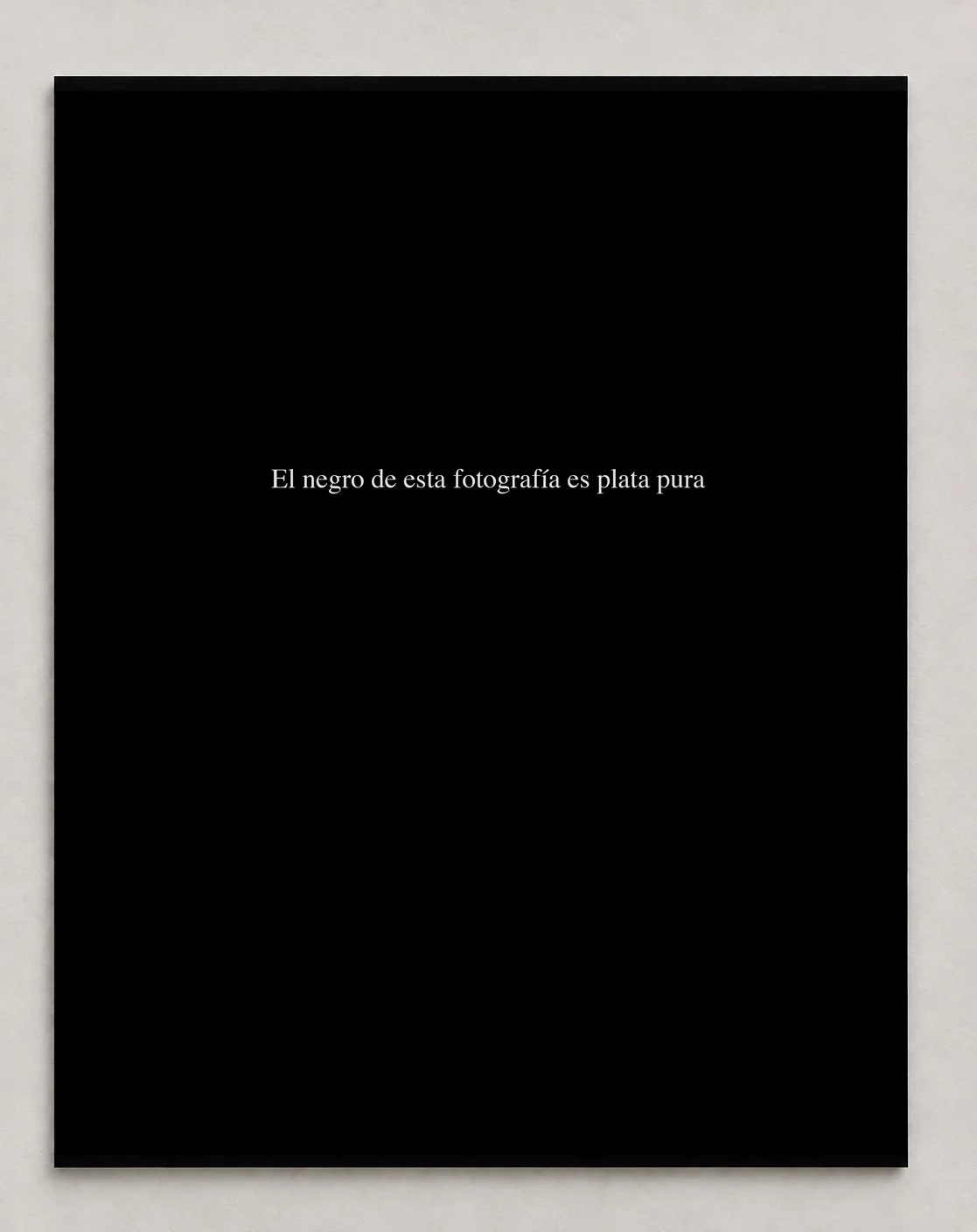 PlataPuraFondo.jpg