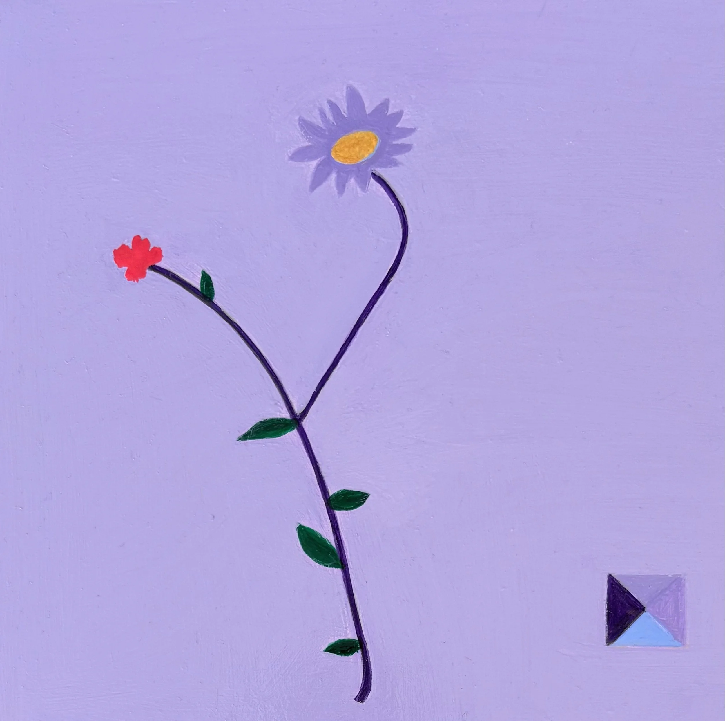 Daisy Violet