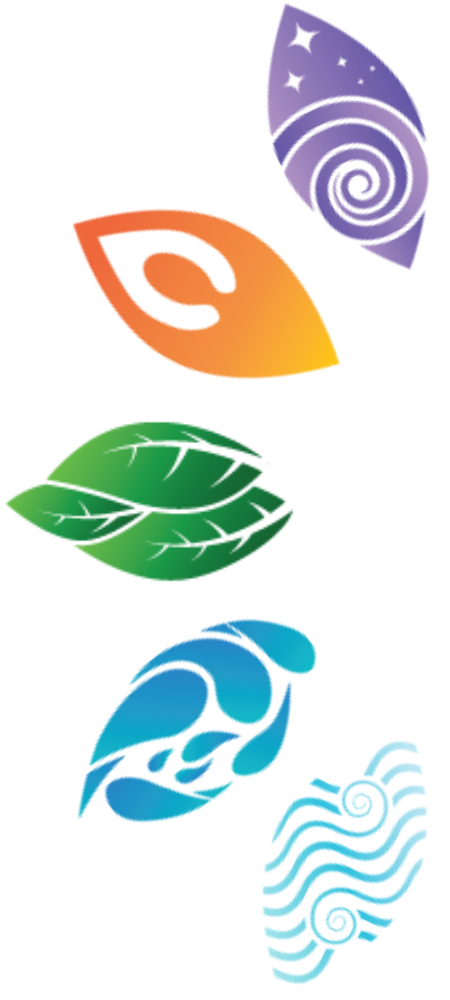 The five Ayurvedic elements — earth, water, fire, air, and ether — displayed in a semicircle