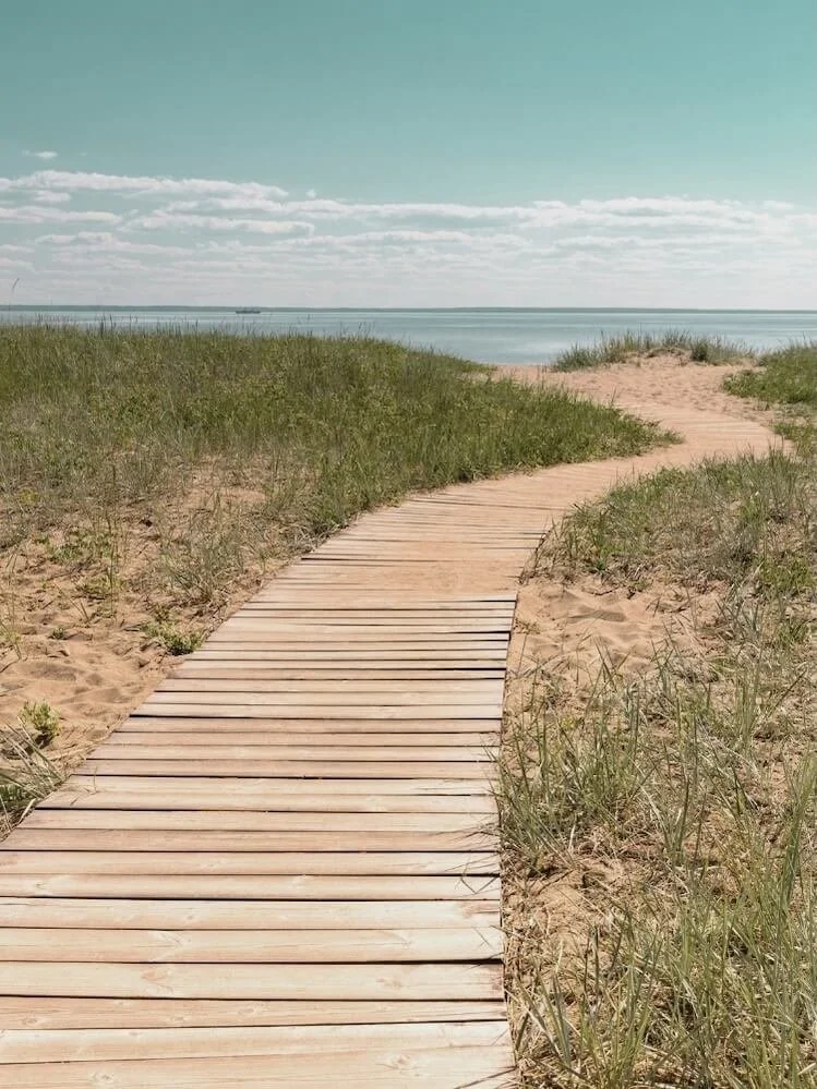 A sandy path leading to a Cape Cod beach where Ian Pullen offers yoga sessions.