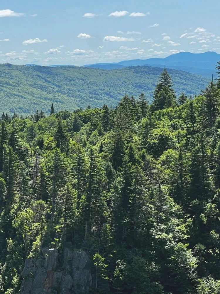 Wooded mountain landscape representing yoga to support physical conditions.