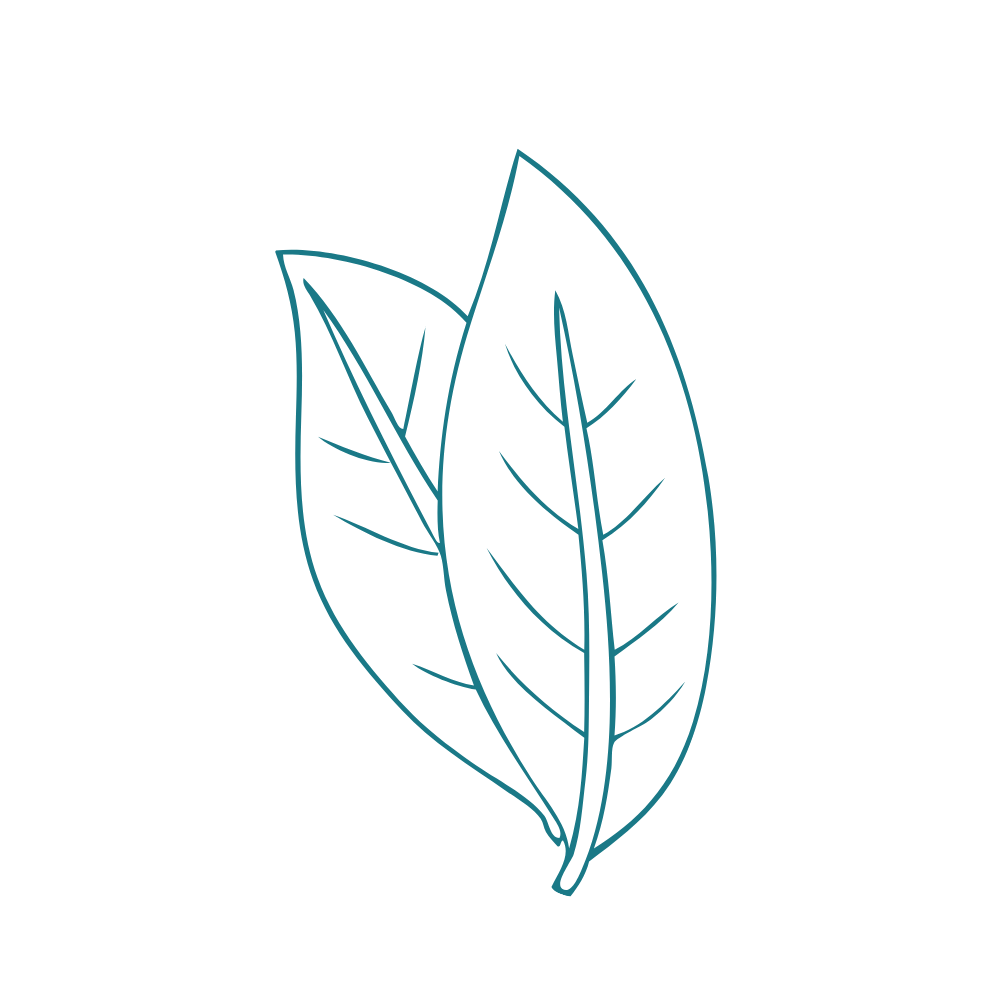 Leaves icon representing recovery support and growth through yoga practice.