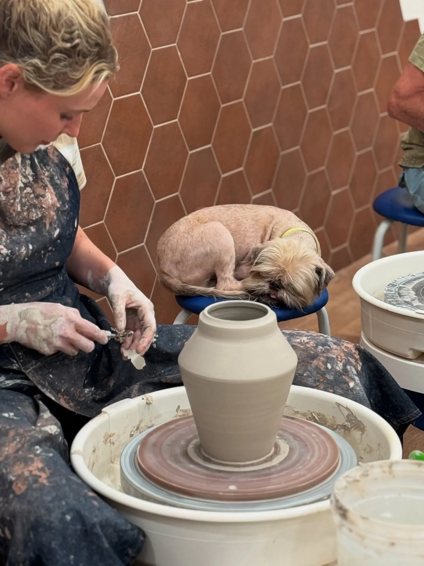 7 months flew by!
Lots of Leo&rsquo;s here, truly felt like birthday season. 
Pumbaa has been studio dogging more consistently lately and he&rsquo;s not so thrilled about all the OT. 
Beautiful pots being made by beautiful people, this little communi