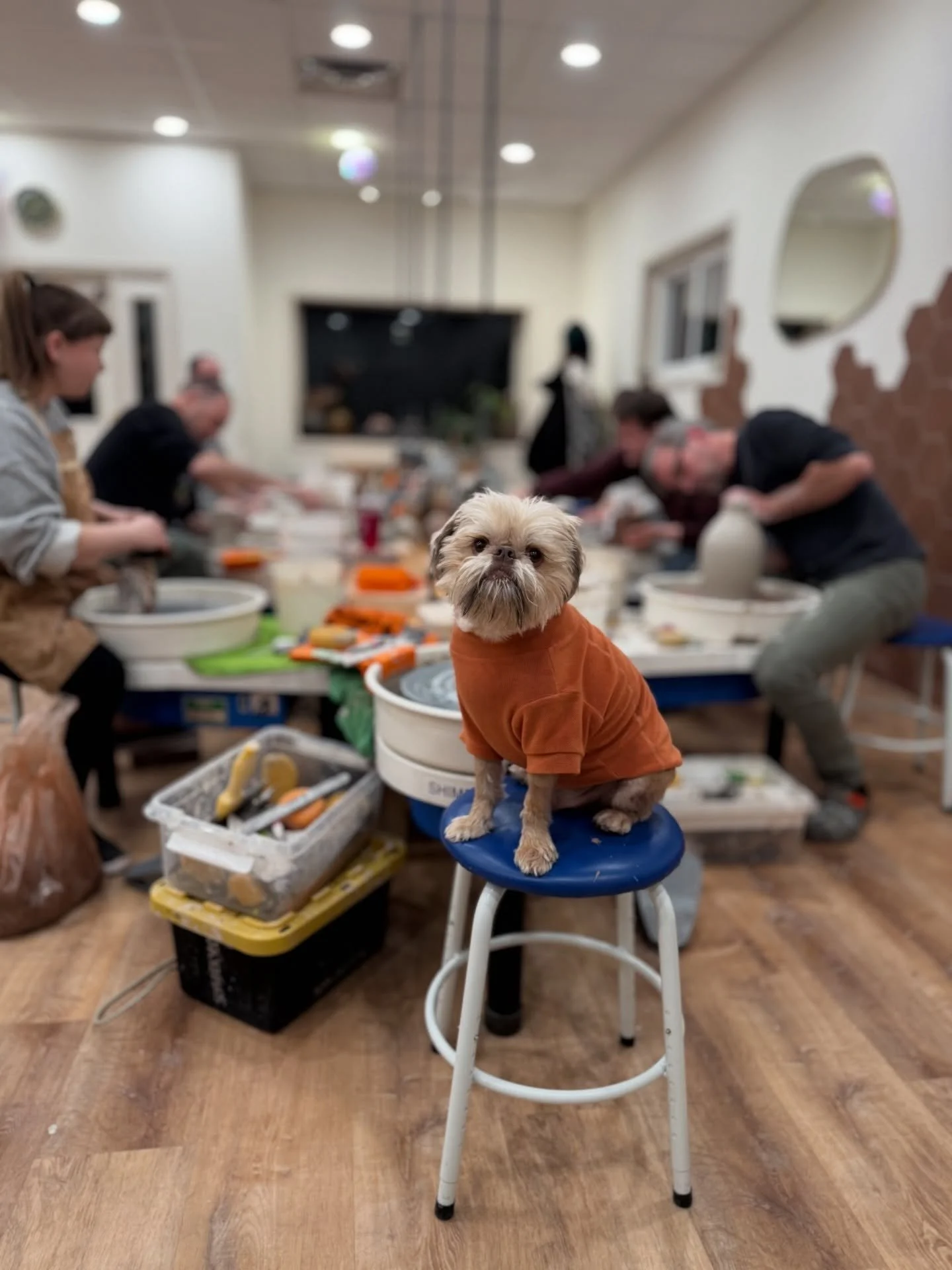 Pumbaa seated at the helm of advanced wheel on Wednesday nights, our students and members are incredible and so talented 

#huntingtonNY #community 
#ceramicstudio #wheelthrowing #longislandclay