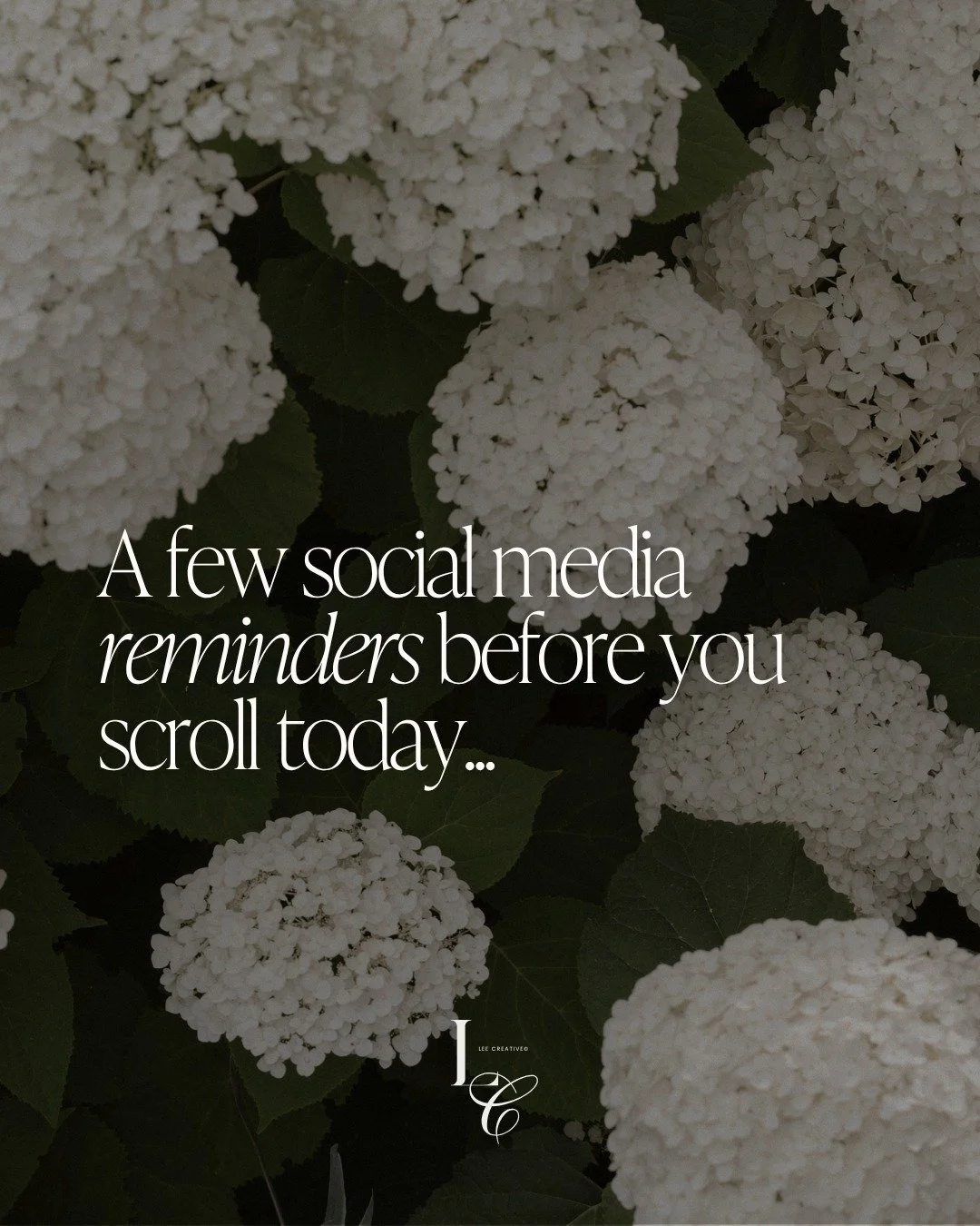 Somewhere along the way, social media became a scoreboard...

We open the app, check the views, compare our growth to someone else's, and start wondering if we're doing enough. 

It's easy to forget that behind every business you admire today were mo