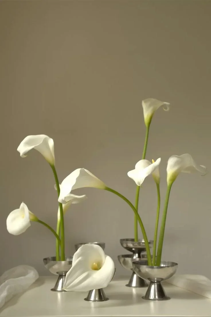 White calla lilies arranged in metallic vases on a white surface against a plain background.