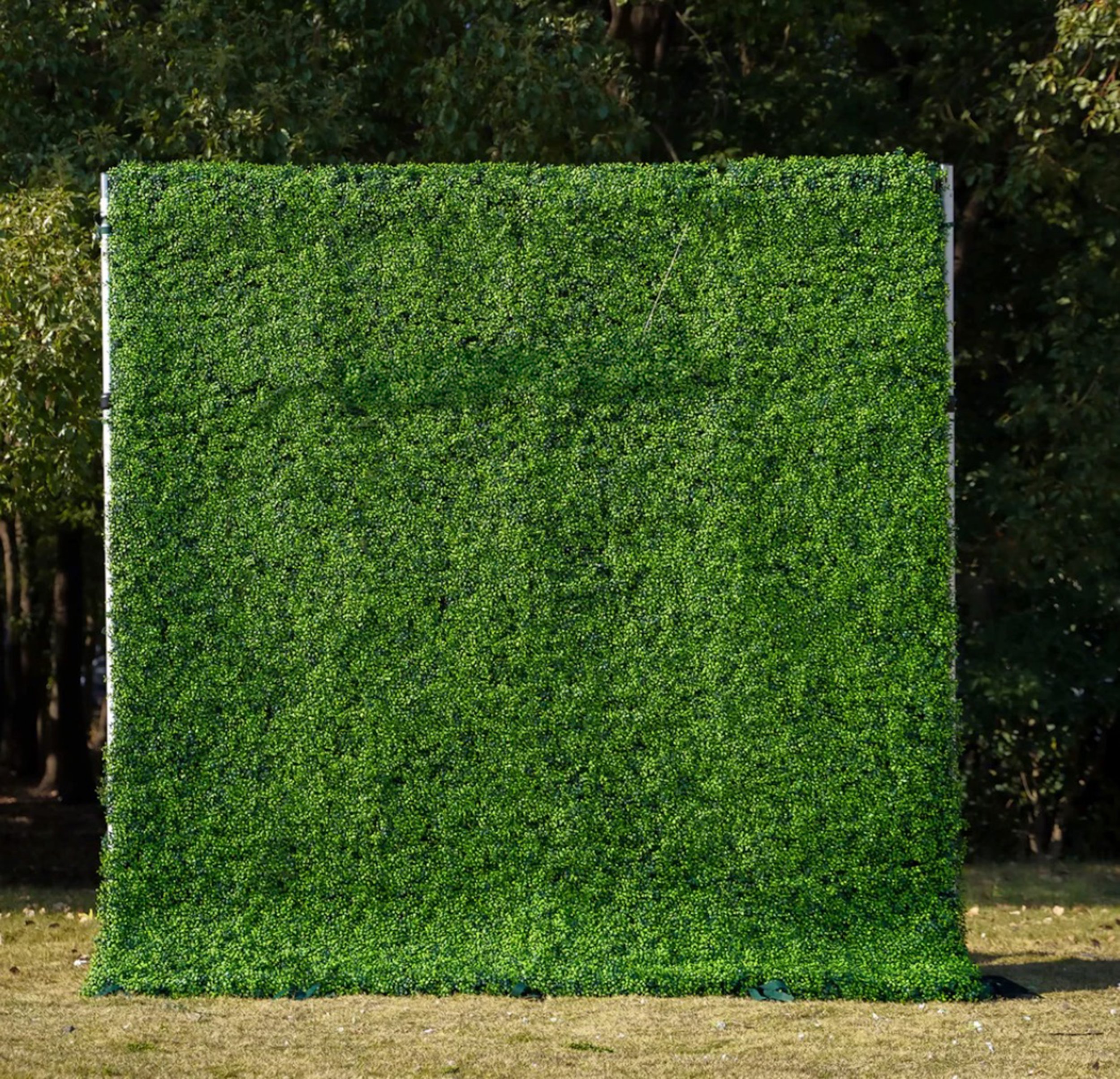 Grass Wall