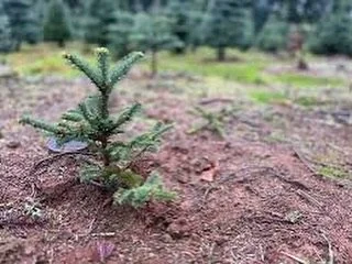 SPRING MEANS FIELD TRIPS AT THE FARM🌱