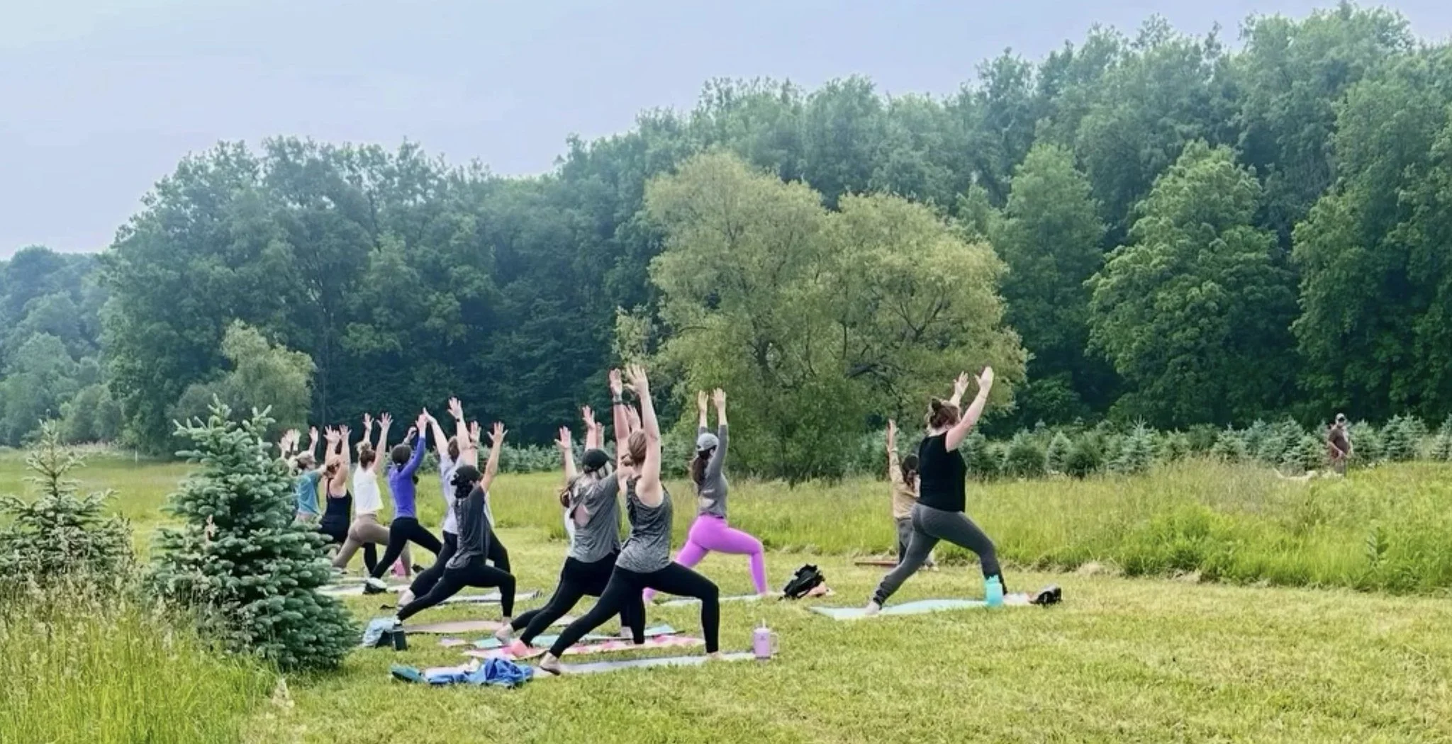 Sunday, September 27th at 9:30AM  | Reset for the New Season: Autumnal Equinox at Treetop Acres