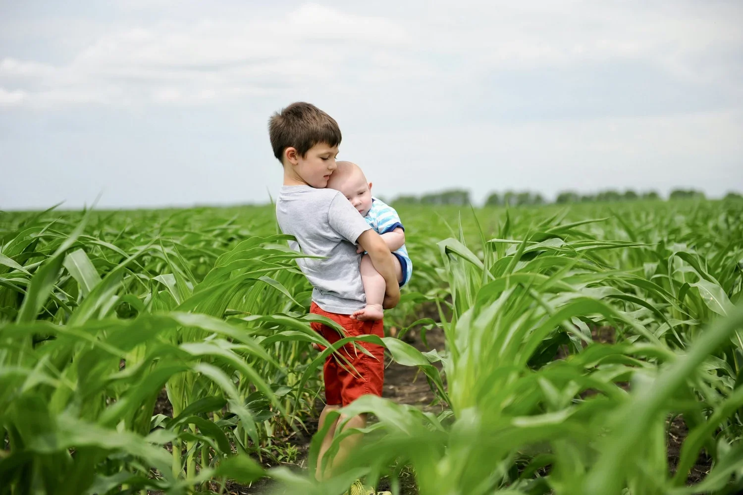 The Seed Corn Crisis