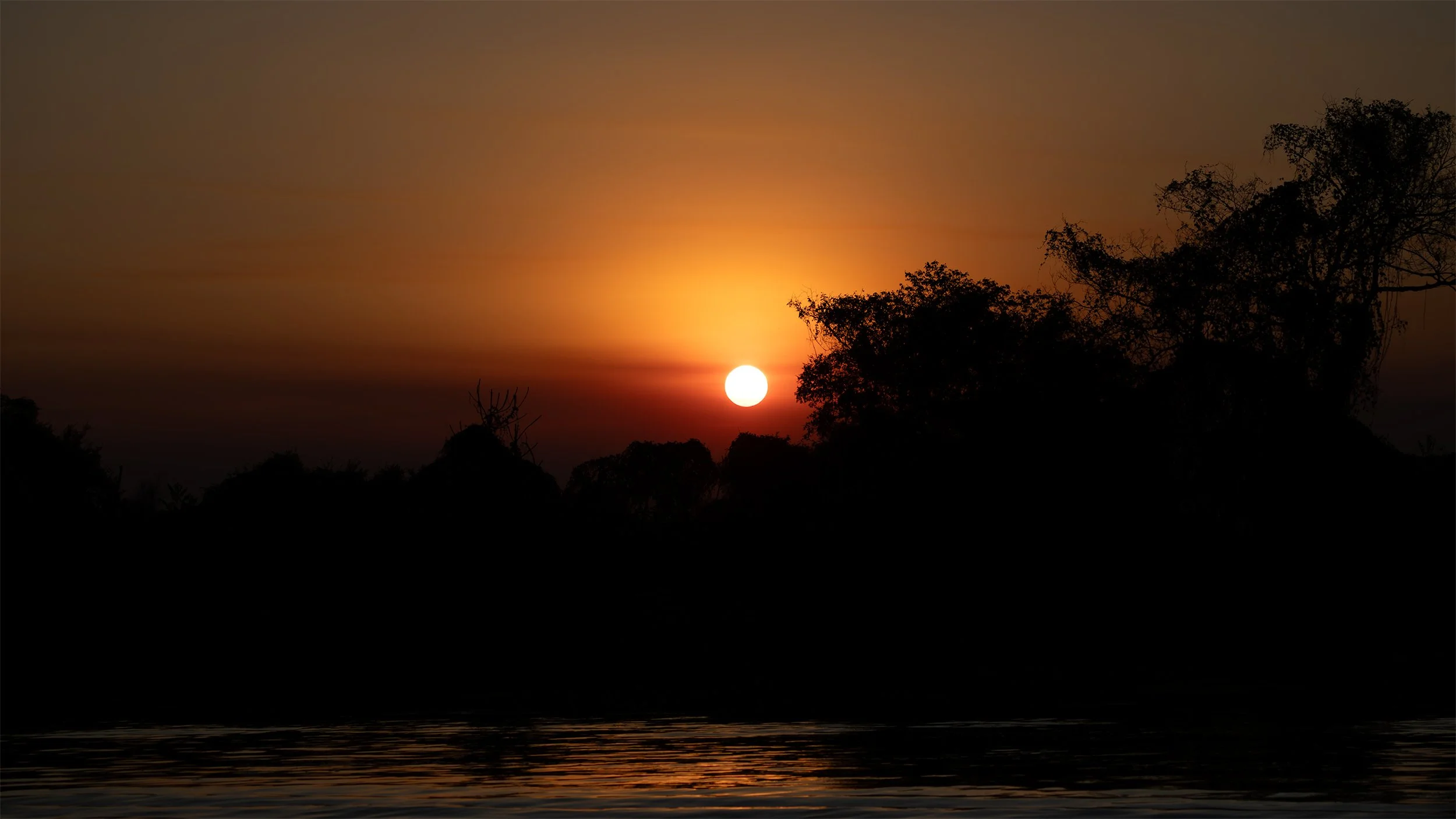 Sunset over a river surrounded by native vegetation in the Brazilian Pantanal wetlands.