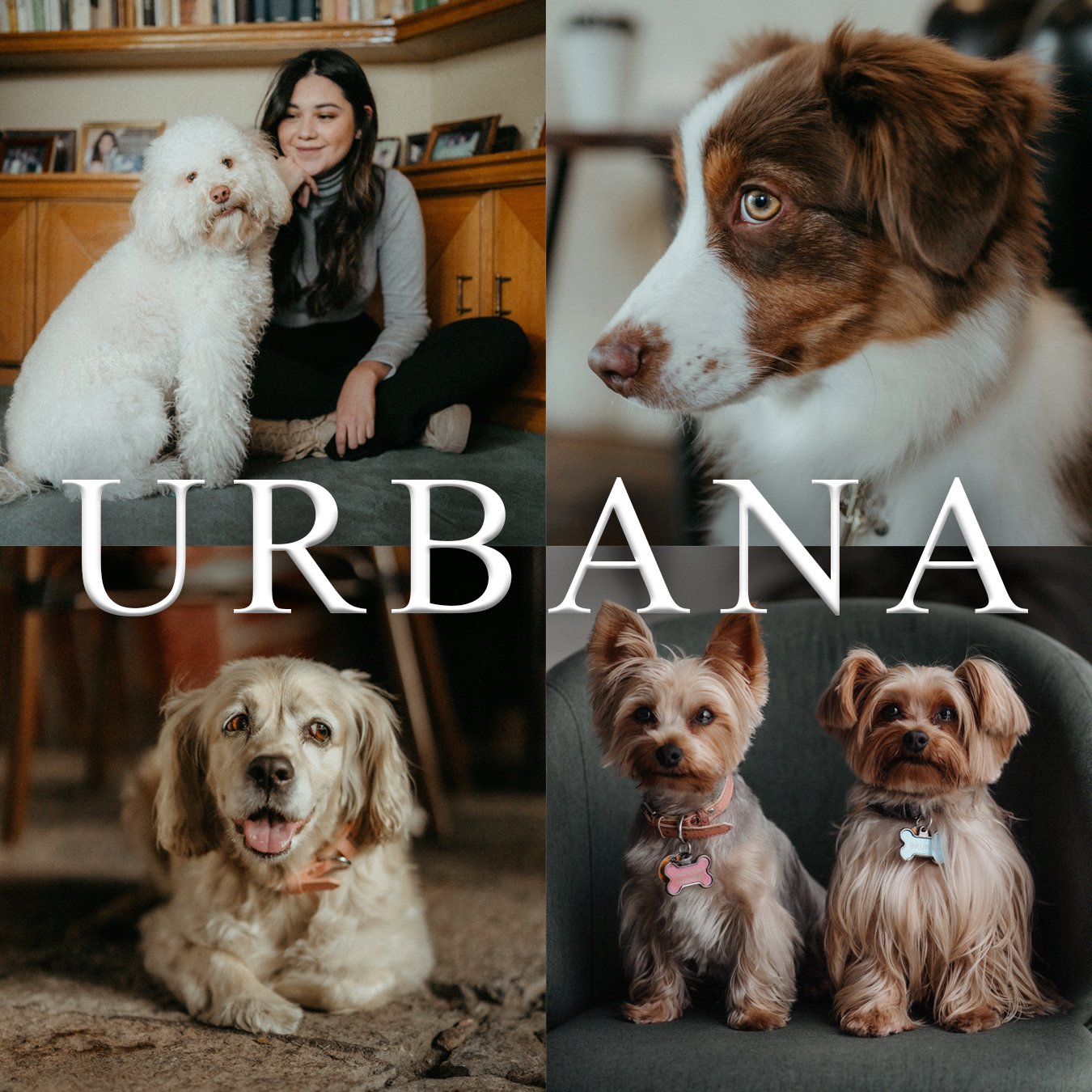 URBANA PRESETS