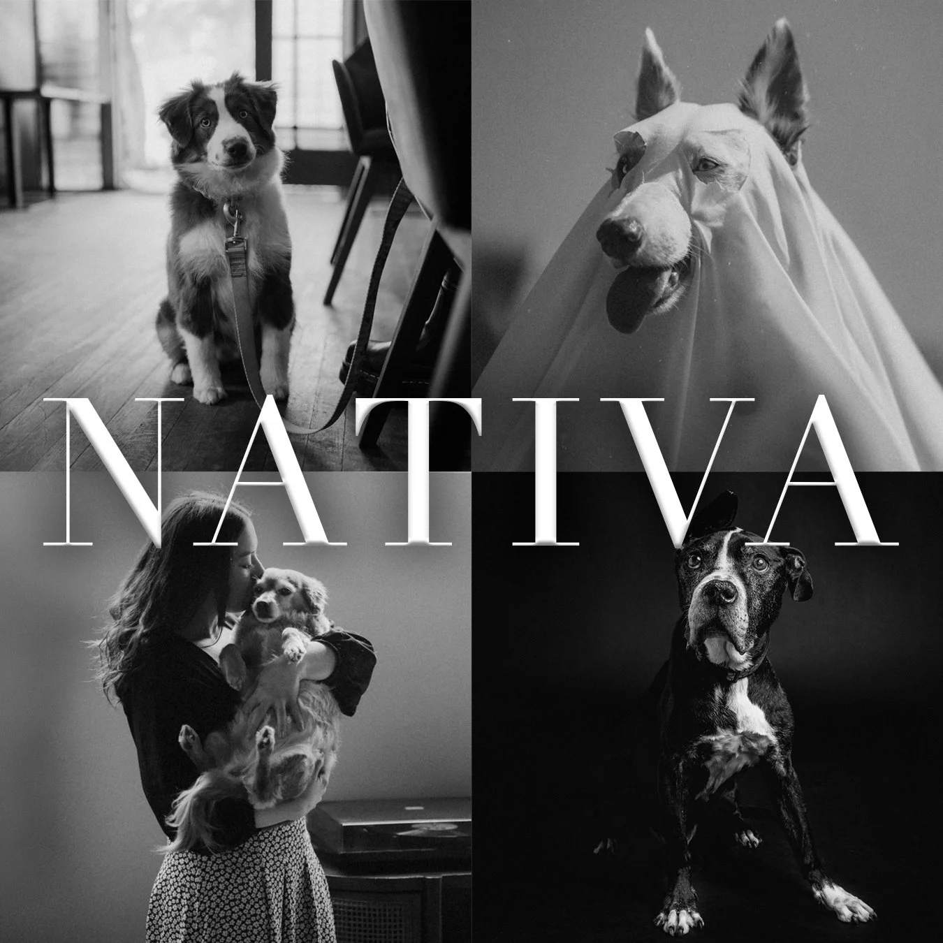 NATIVA PRESETS