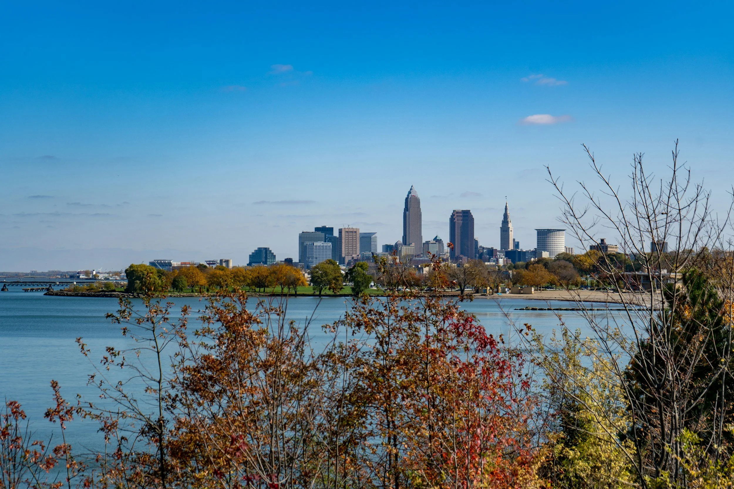 A city skyline with tall buildings across a body of water, with trees in the foreground and a clear blue sky.