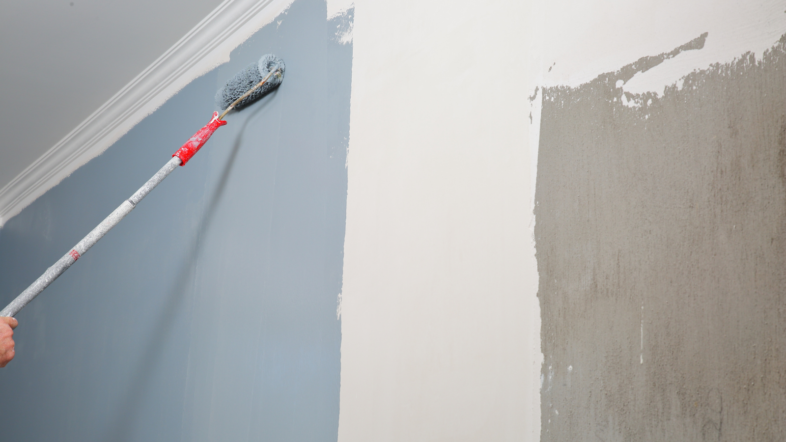 Copy of fixxer  (1).png