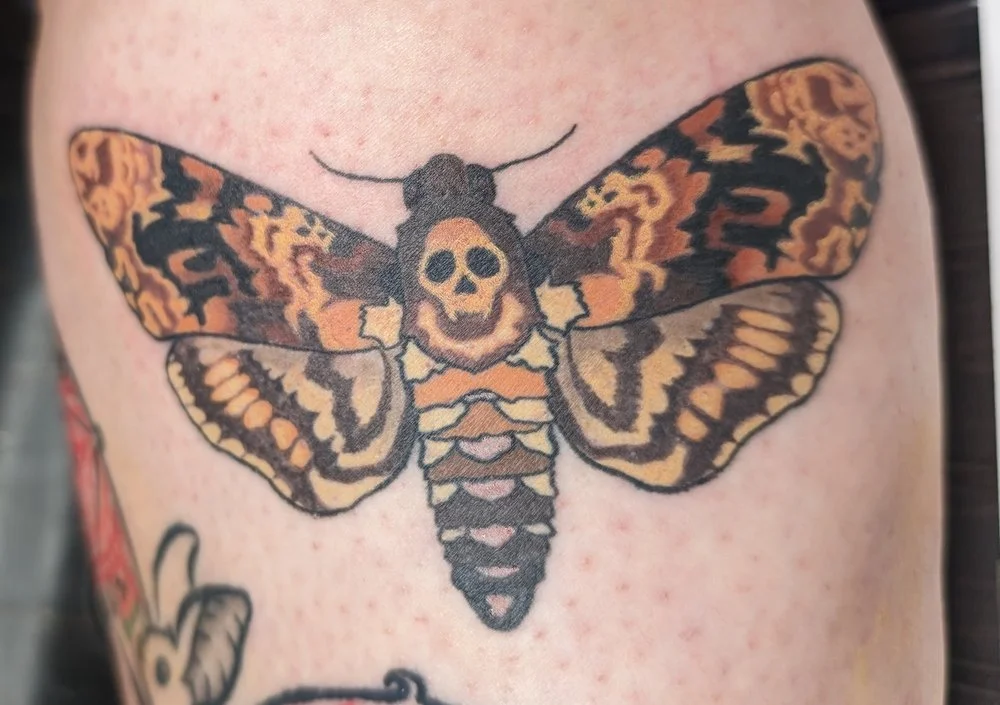 moth.jpg