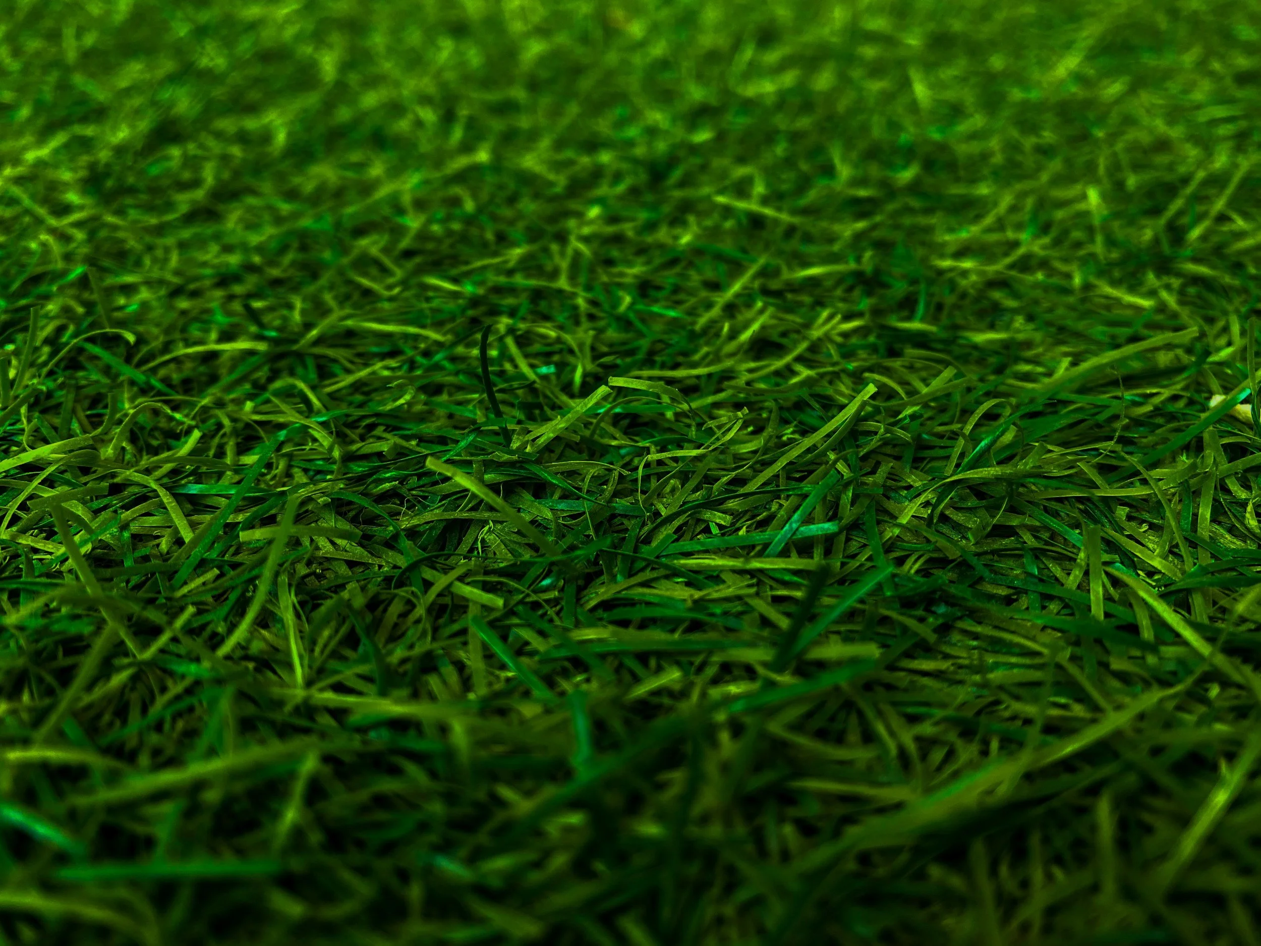 How Long Does Artificial Turf Last in Georgia?