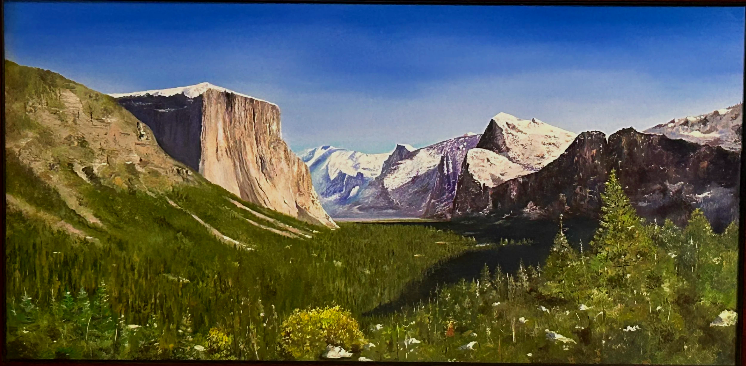 Yosemite national park    48"x24" oil on canvas