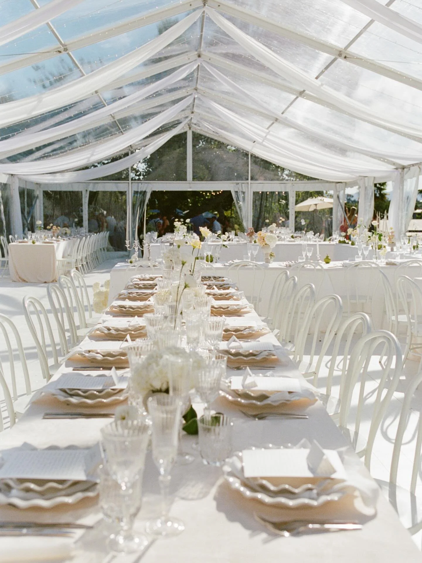 Planning your wedding and wondering how to make your reception tables feel elevated without overdoing it? 

Start with the basics - the shape of your plates, layered glassware, and considered cutlery. Then add something unexpected: pearled fruit, fun