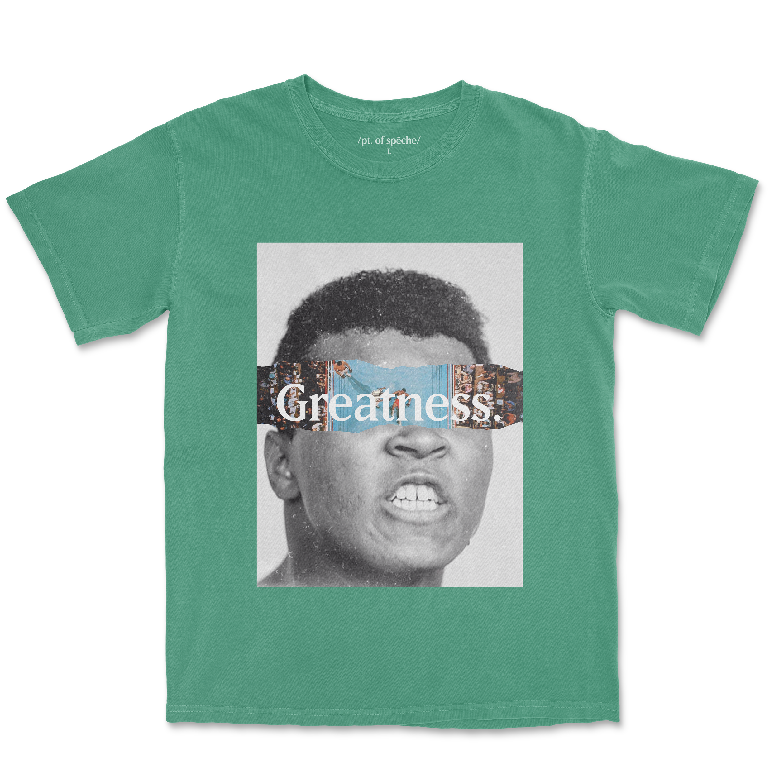 Zaire Ali.png