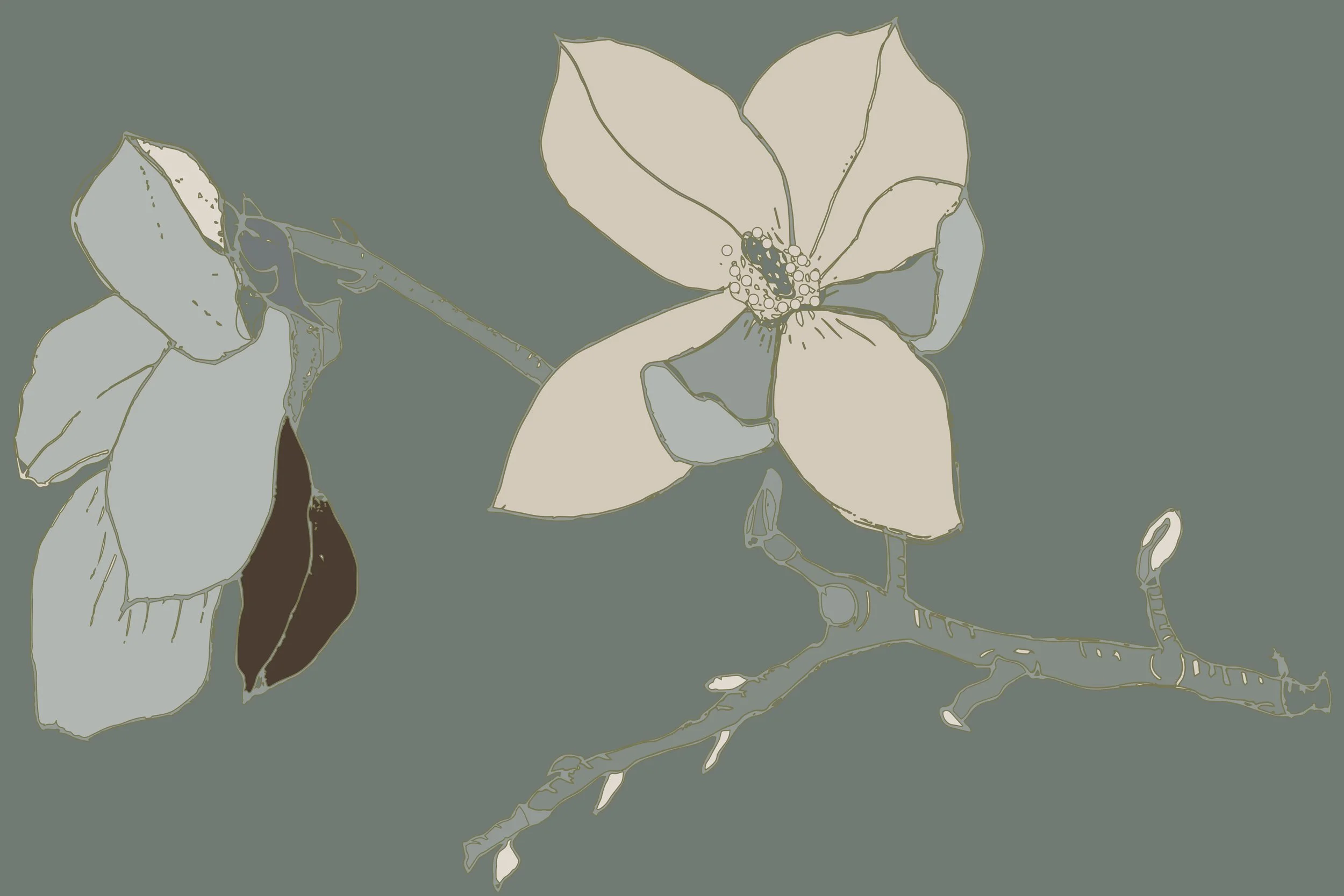 KW Magnolia Trailing Forest.jpg (Copy)