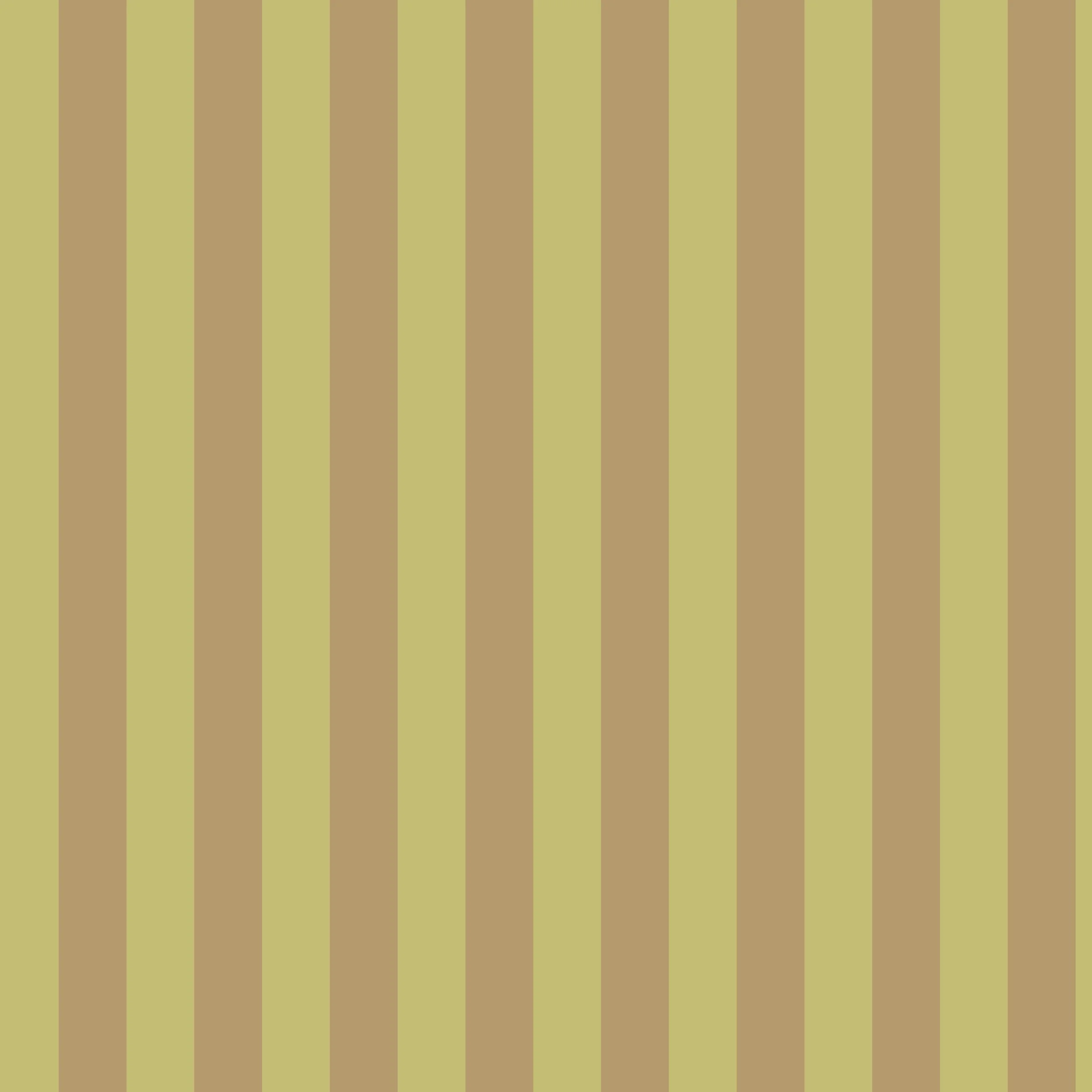 Dunedin Choclate Lime Stripe Swatch.jpg