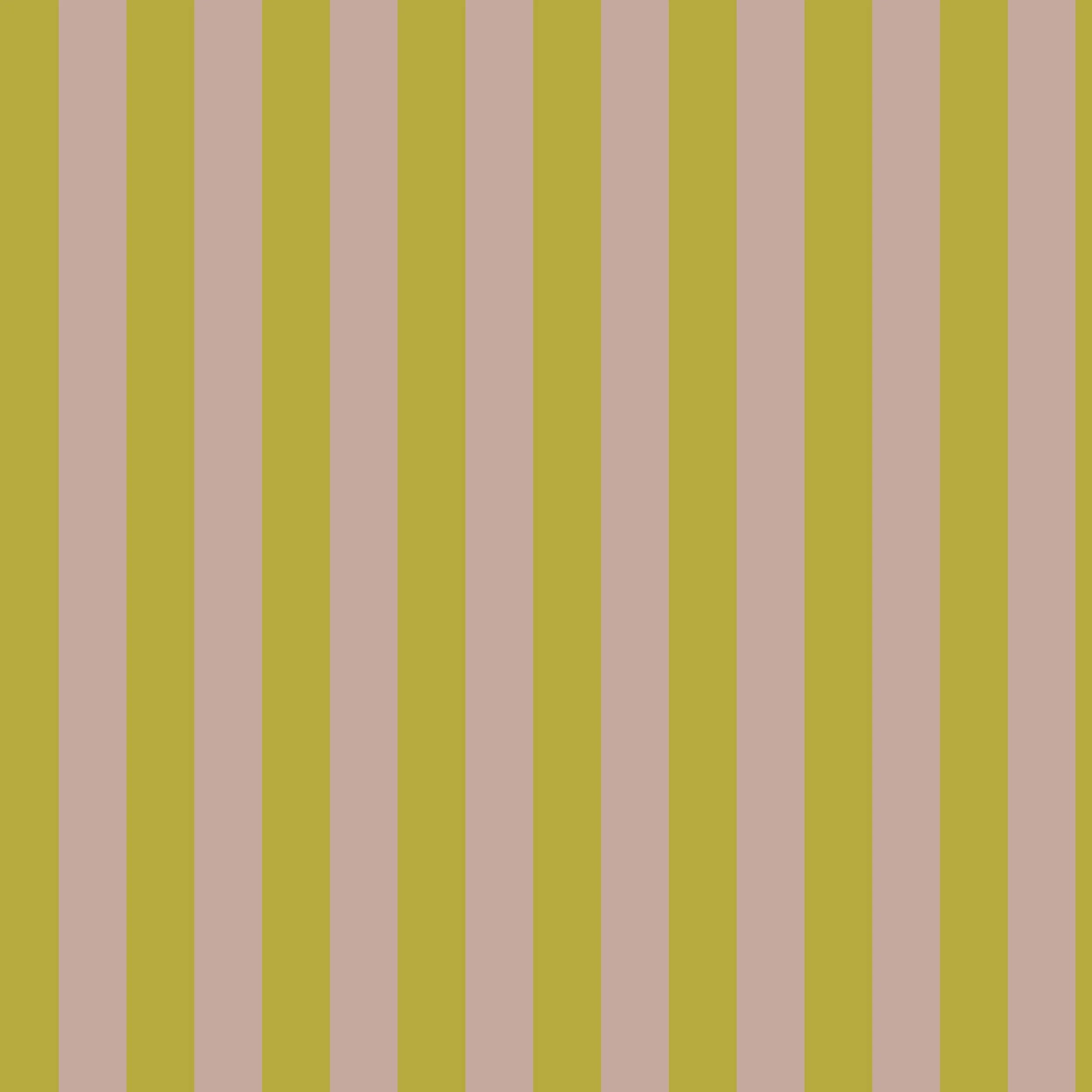 Ponsonby Road Large Stripe.jpg