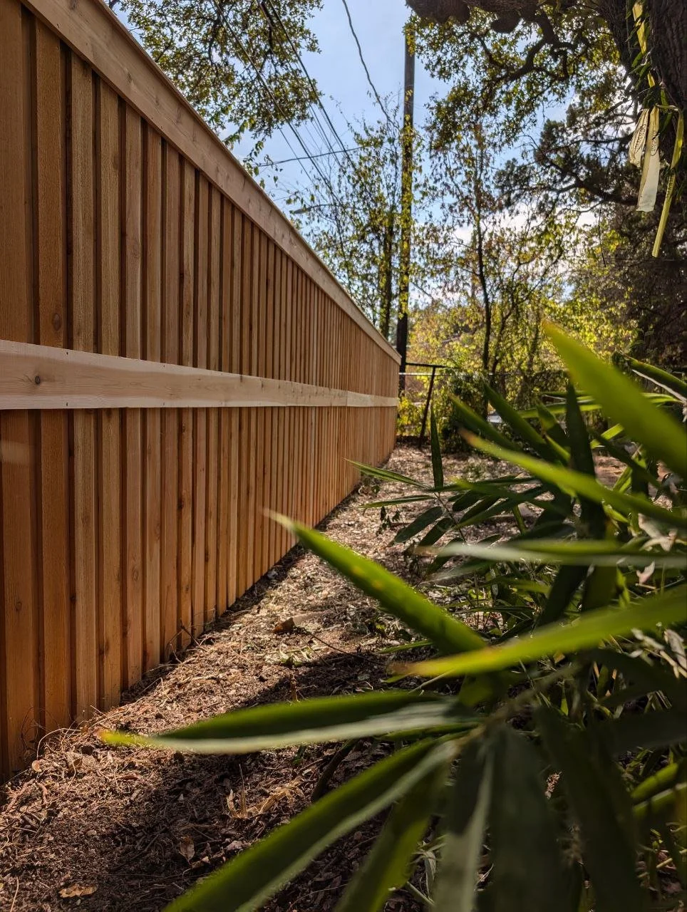 photo_2024-11-04 16.54.19.jpeg