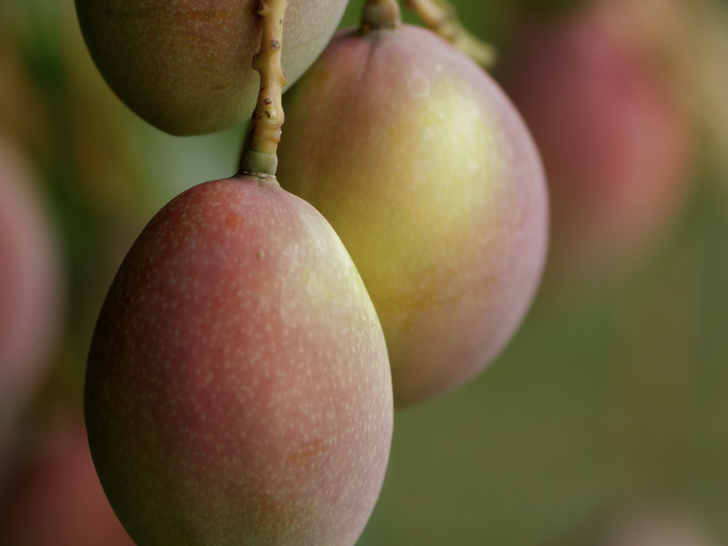 Not All Butters Are the Same