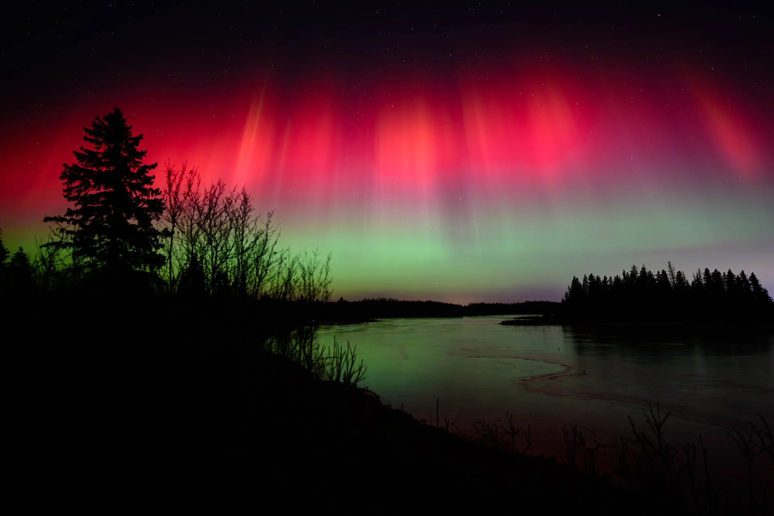 Northern lights  (aurora borealis)  display with red and green auroras over a lake with silhouetted trees.