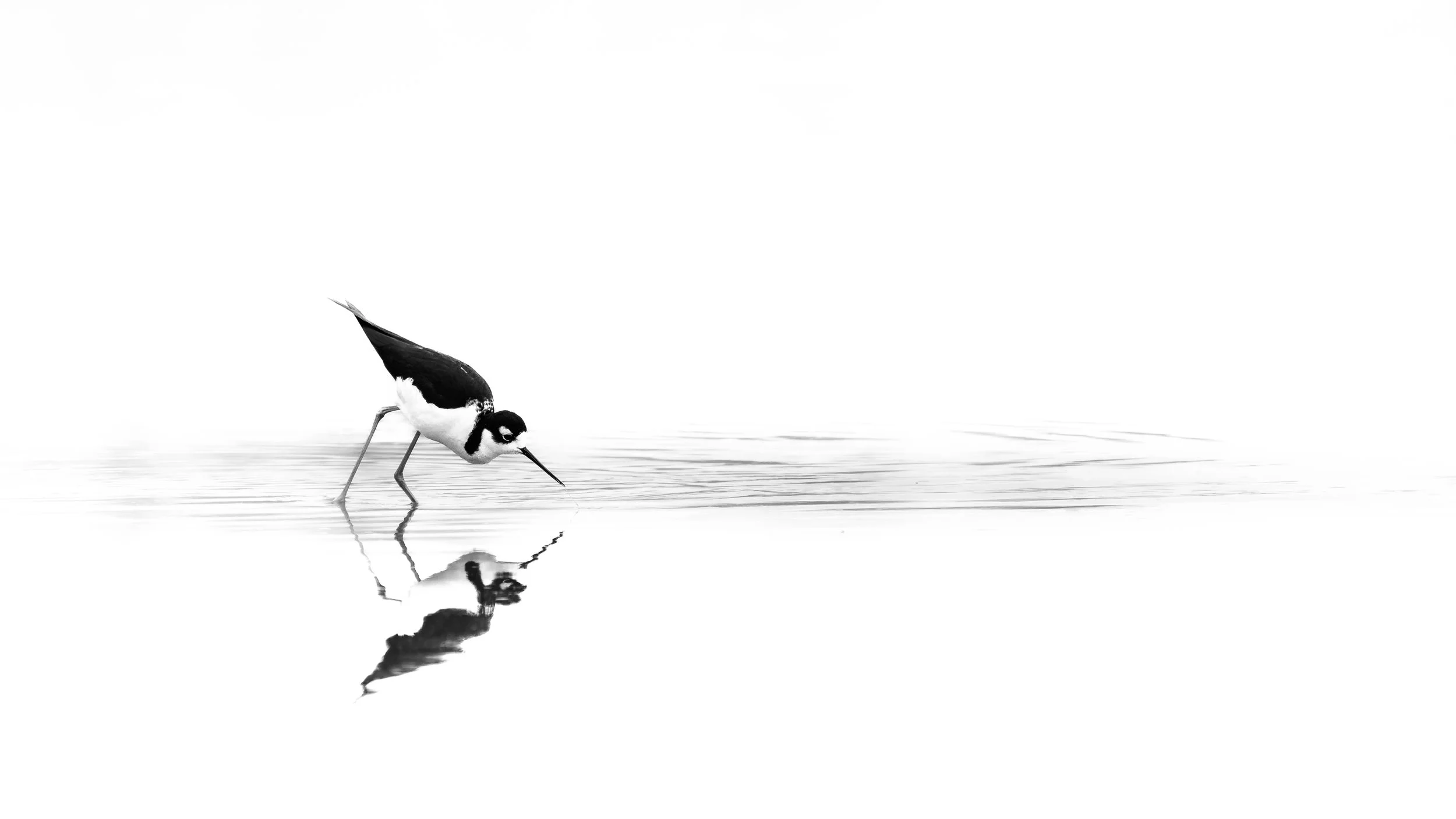 Reflections on Stilts