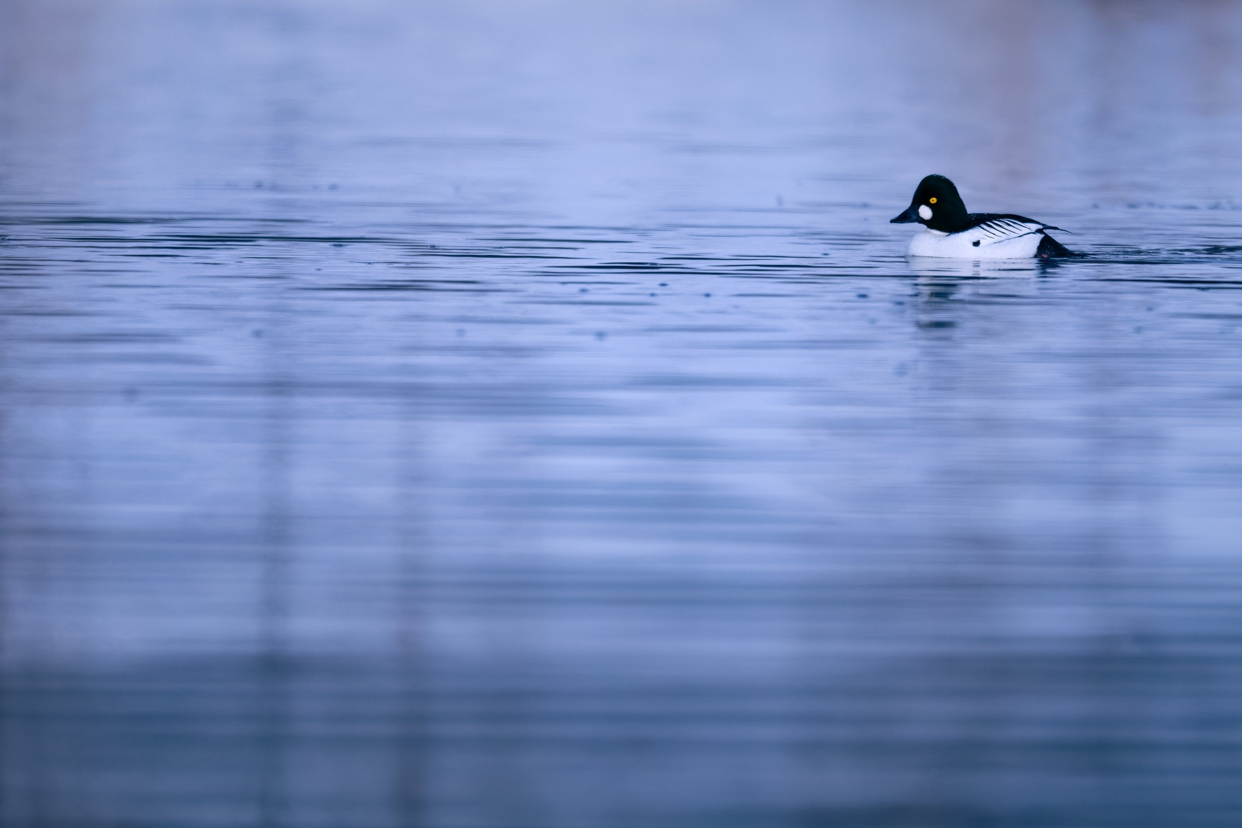 _DSC4644.jpg