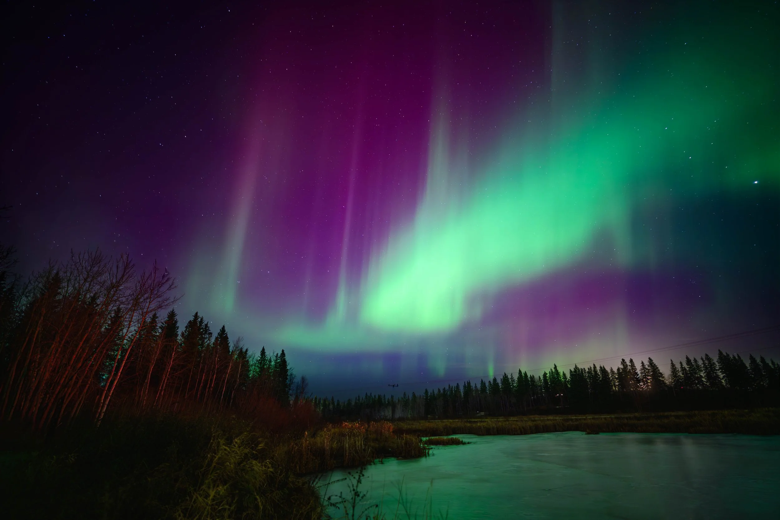 Northern Lights  (aurora borealis)  over a forested landscape, with stars visible in the sky and a partially frozen pond in the foreground.
