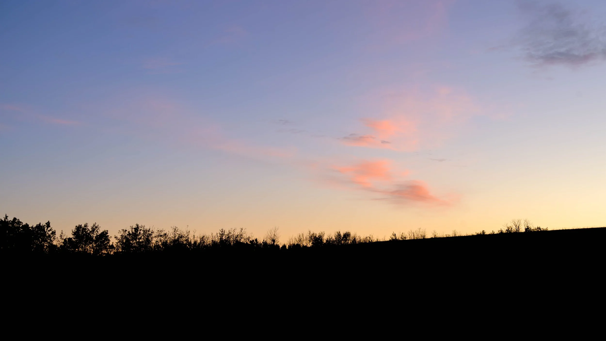 Sunrise sky with pink clouds above silhouettes of trees on horizon.