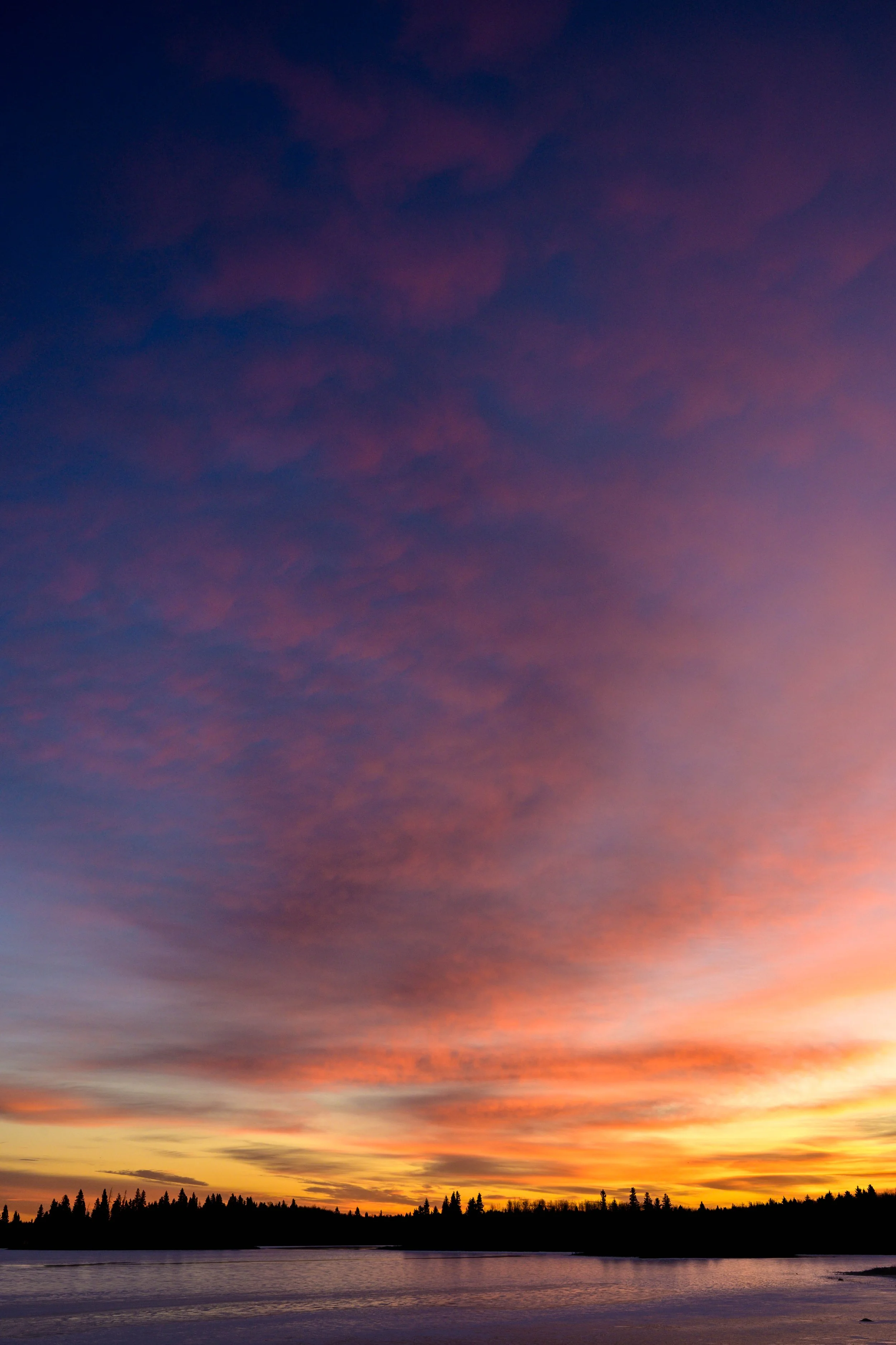 A colorful sunset over a body of water with a silhouette of trees on the horizon and pink, purple, and orange clouds in the sky.