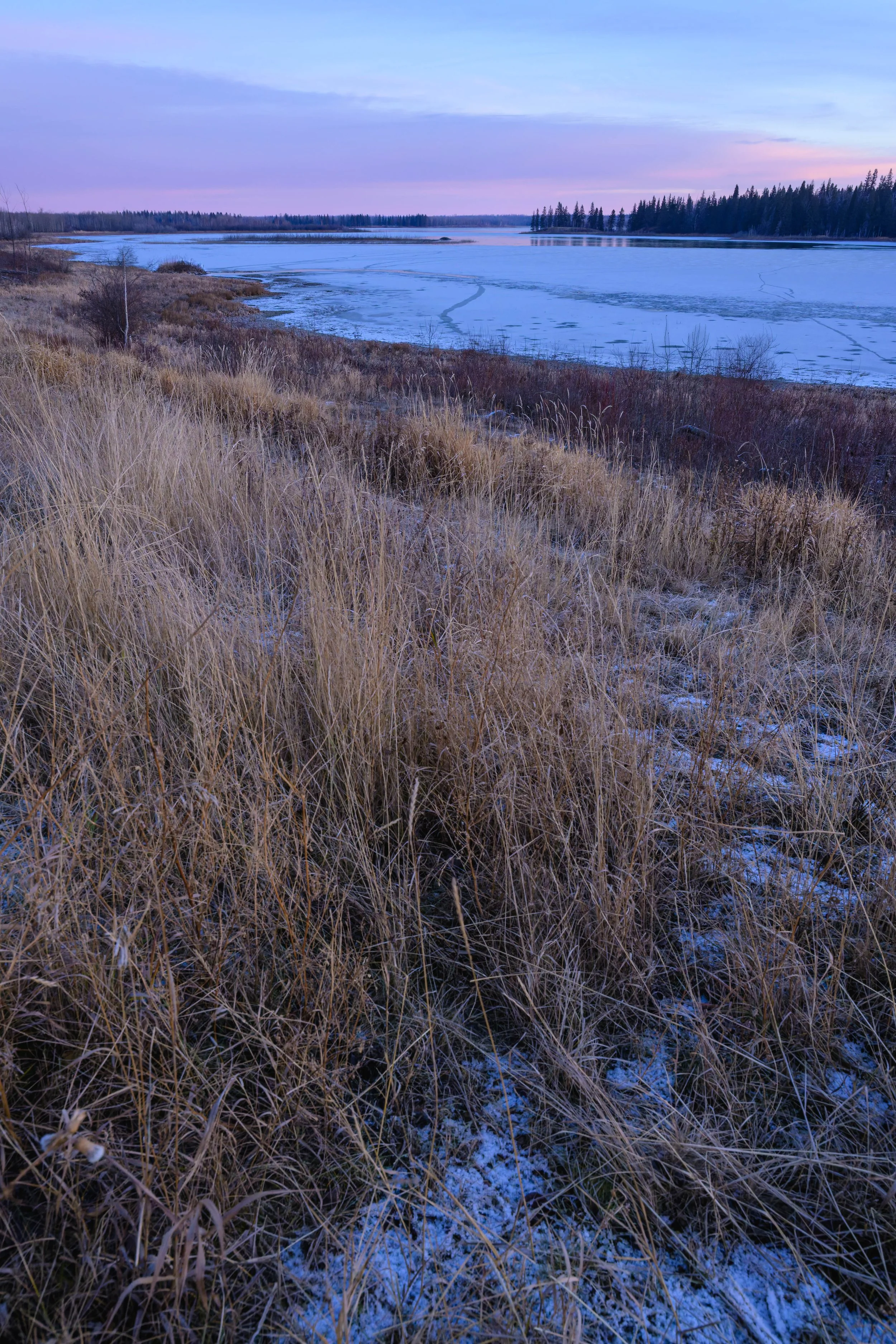 A lakeside scene at dusk with dry grass in the foreground, a partially frozen lake, and a pink and purple sky with distant trees on the horizon.