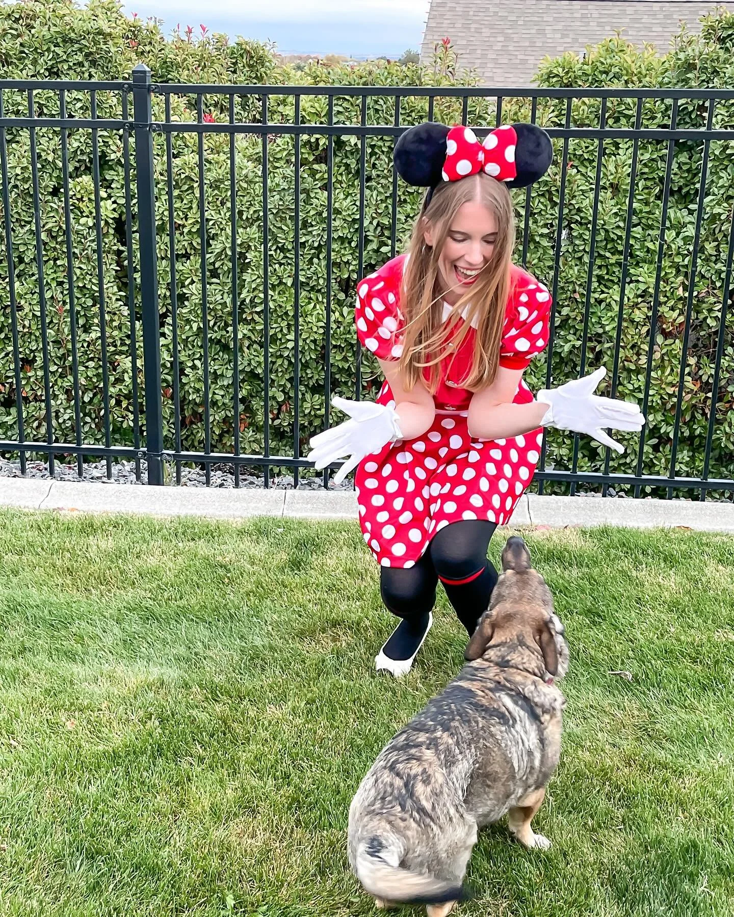 Halloween may be over, but I can&rsquo;t move on into the holiday season without giving these pictures a permanent spot on the grid! 🥺🥹 I shared some on my stories the other night, and you guys were sweet with all the love. 🫶🏻 
 
Minnie Mouse mad