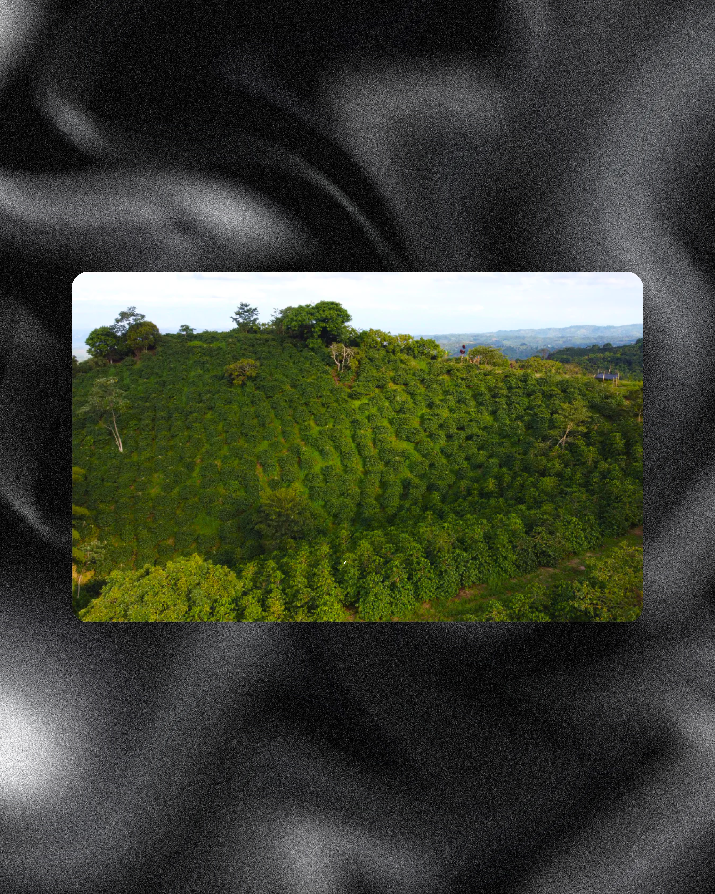 4.png (Copy)