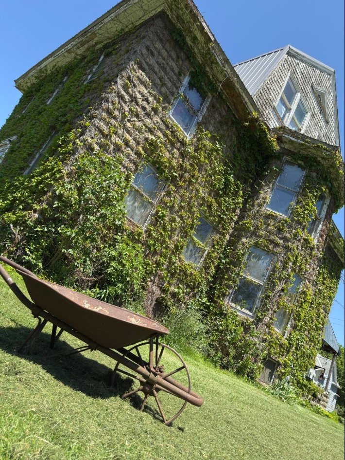 An old brick house covered in green vines with several windows, a metal roof, and a small wooden tower-like structure on top. In the foreground, there is an antique rusty wheelbarrow on a grassy lawn. The sky is clear and blue.