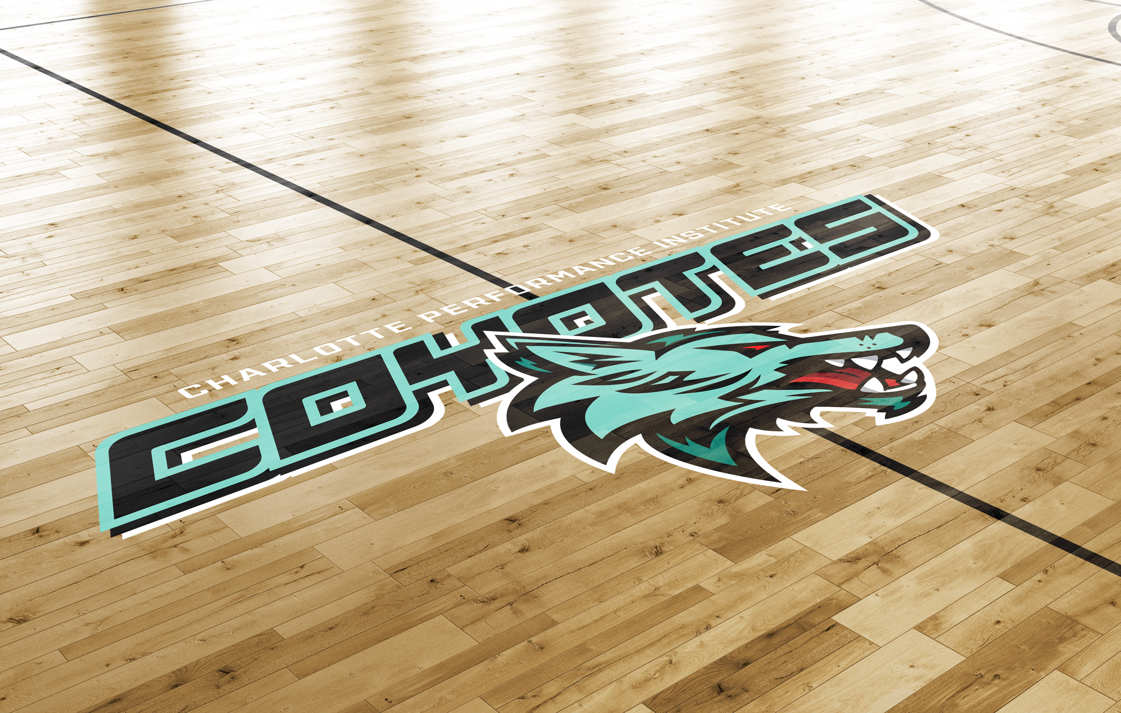 Charlotte Performance Institute (Basketball School)