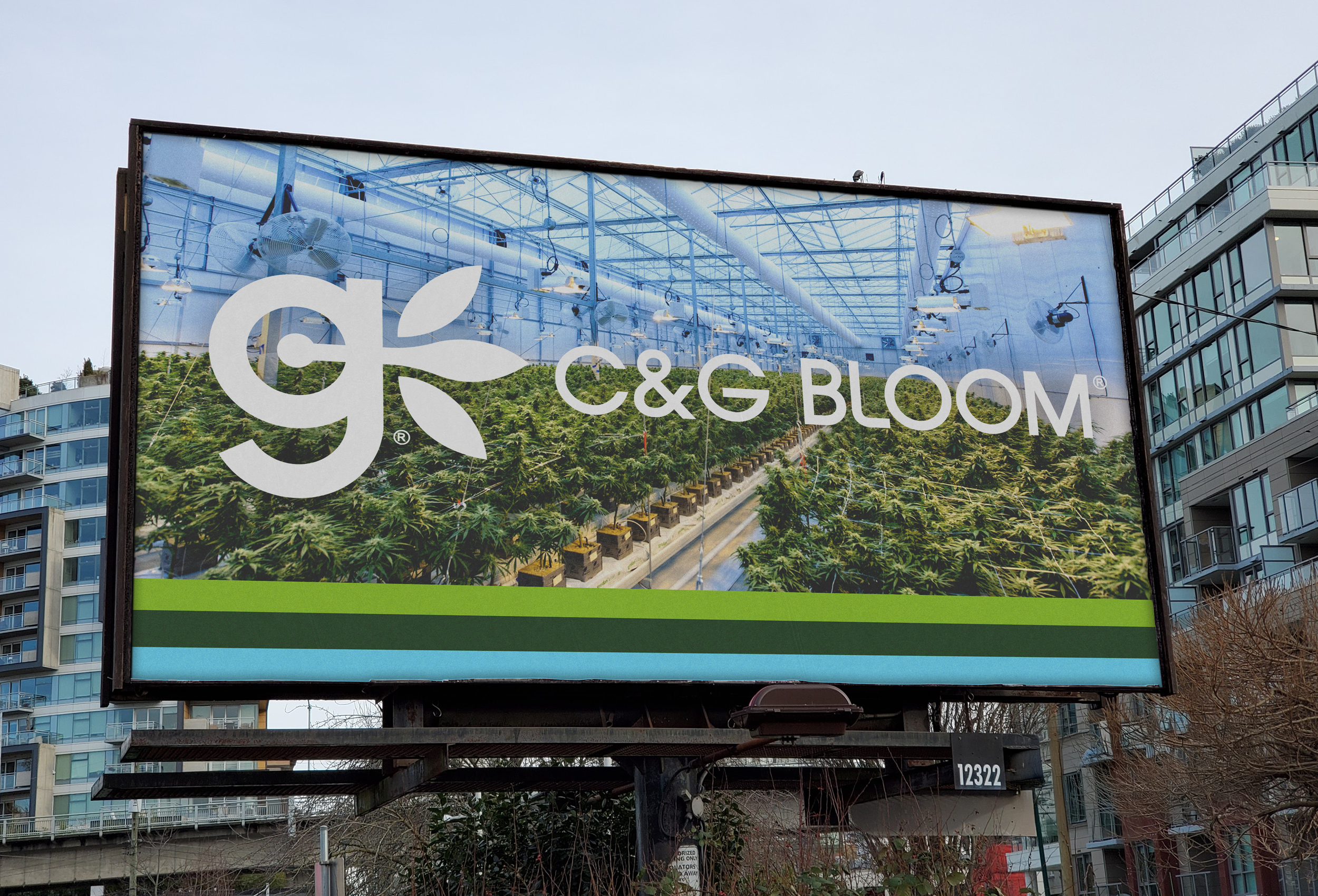 CGbloombillboard.png