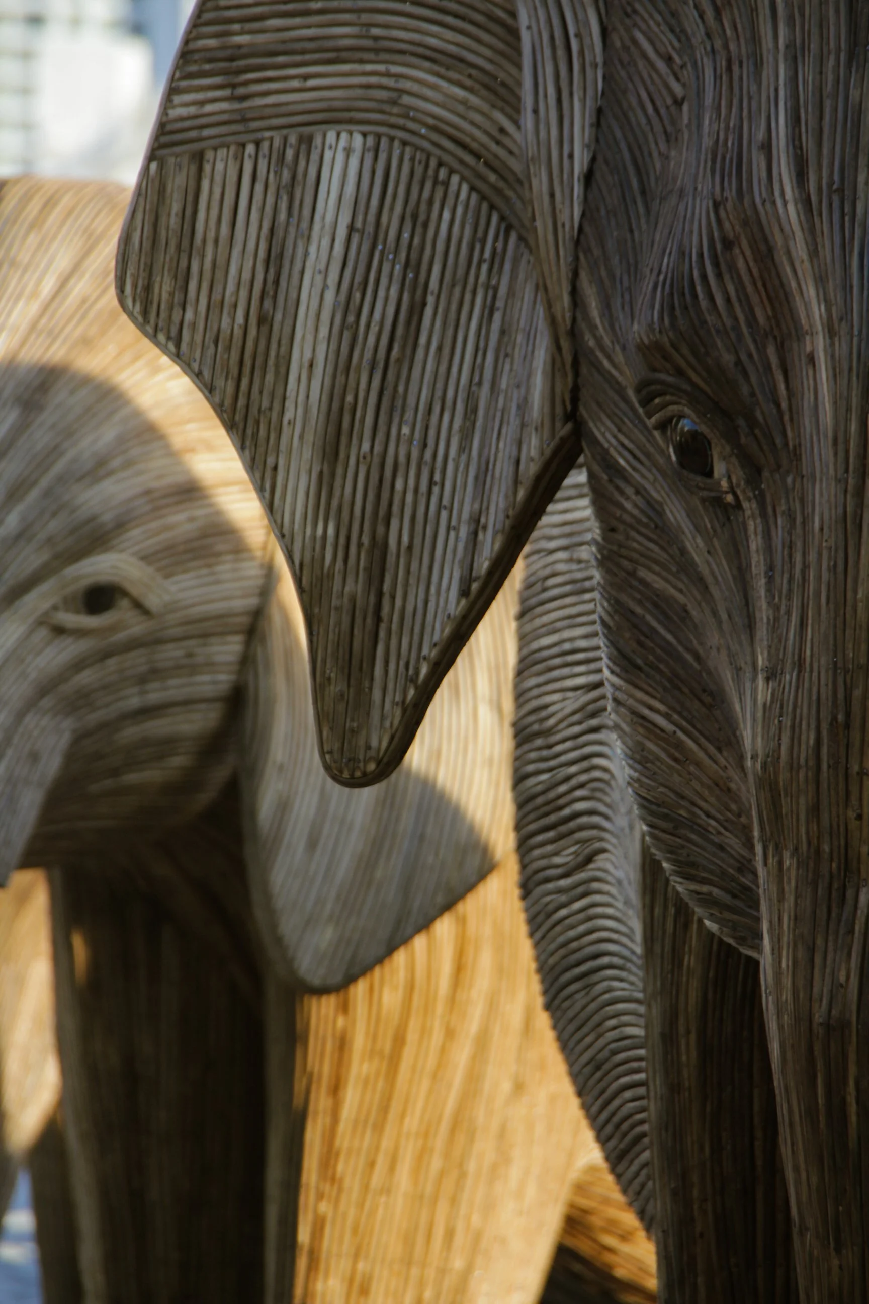 Great Elephant Migration-05.jpg