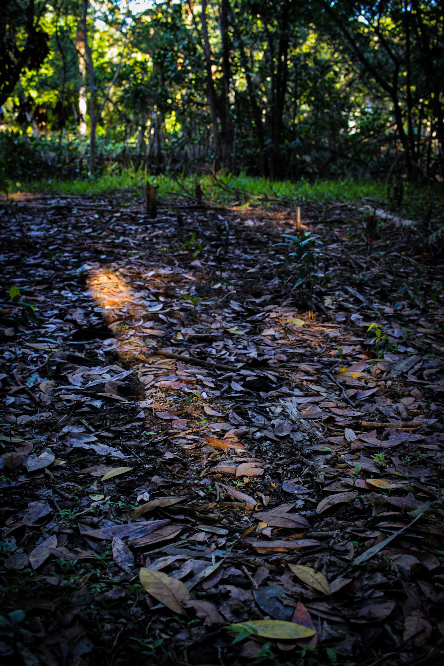 MPW ENCHANted-03.jpg