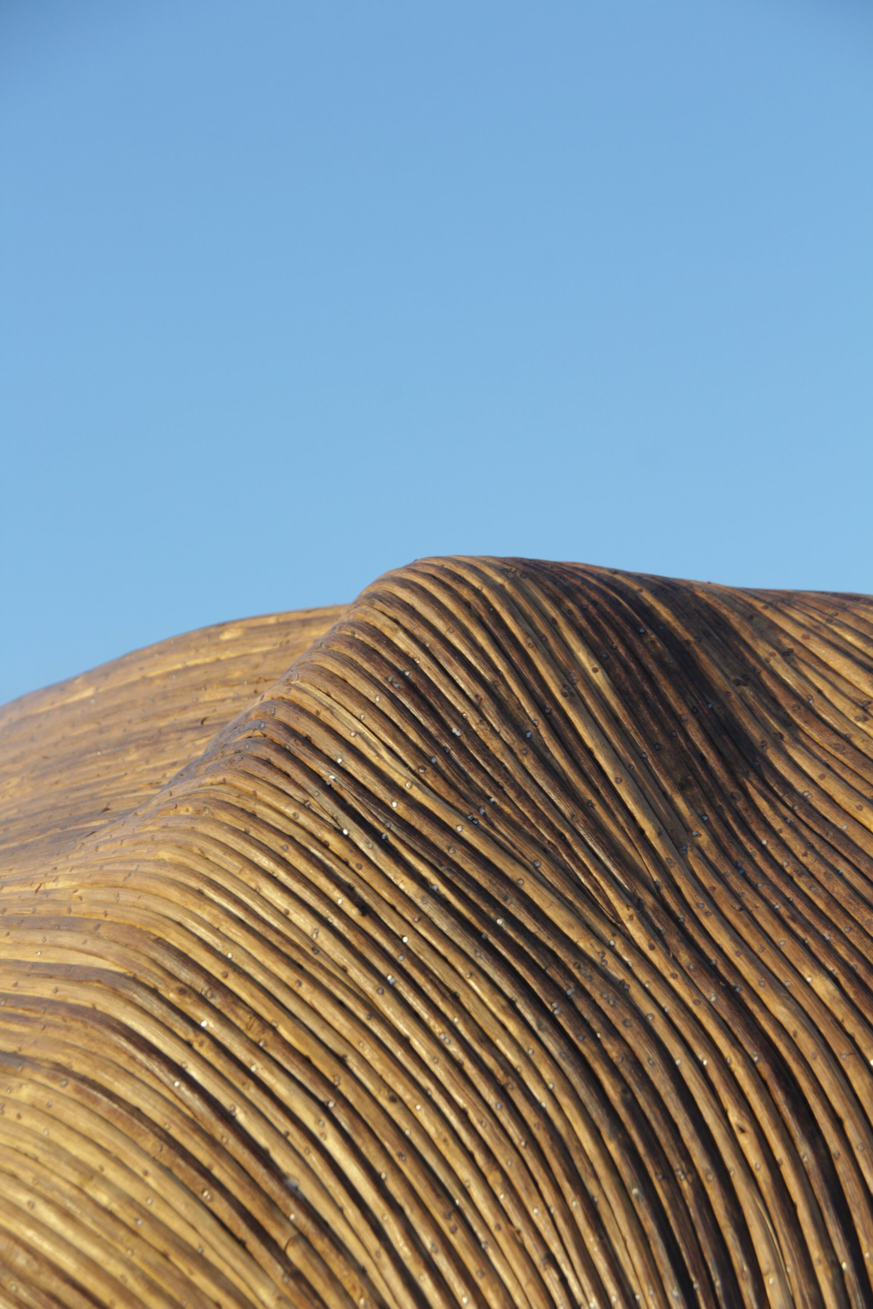 Great Elephant Migration-01.jpg