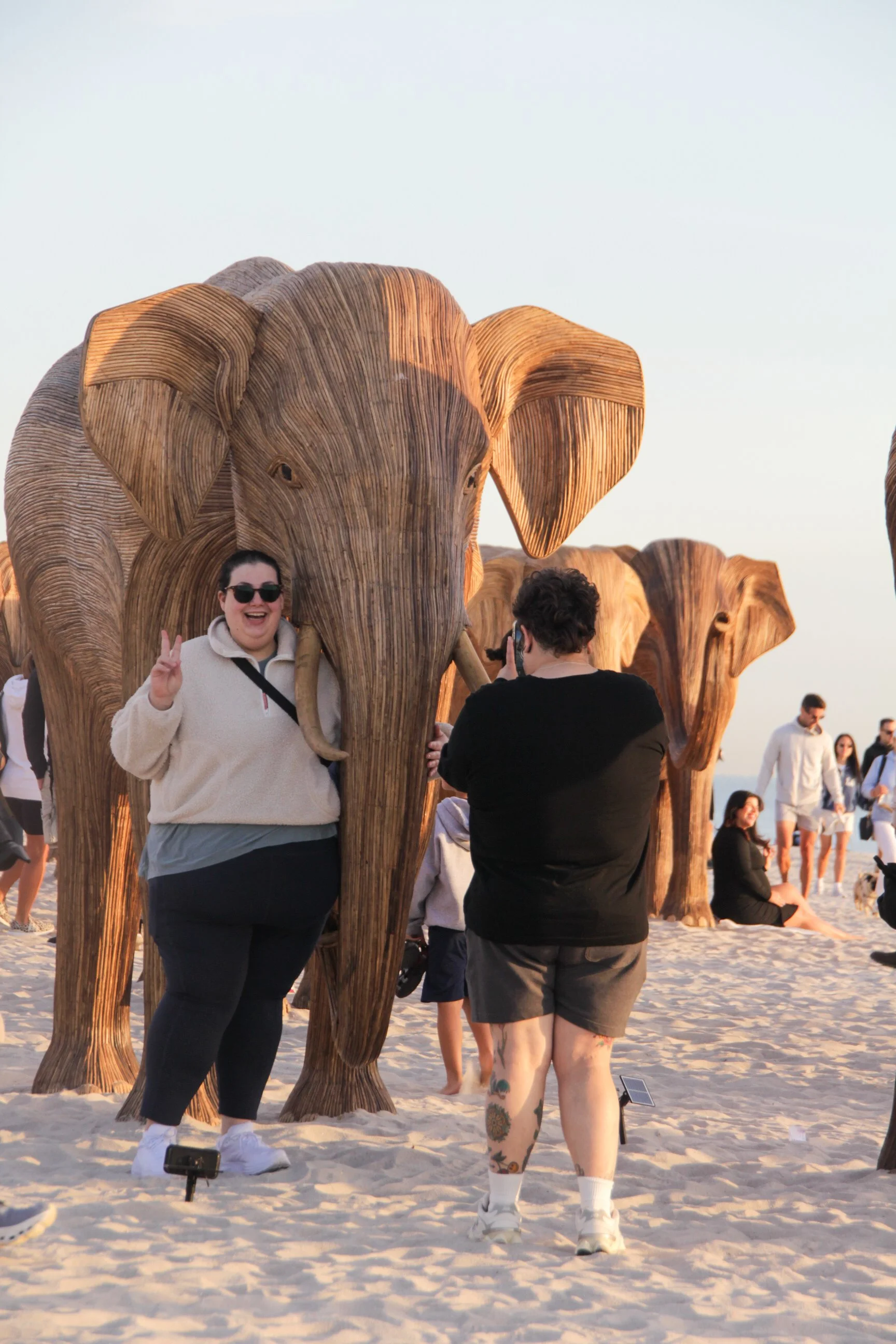 Great Elephant Migration-20.jpg